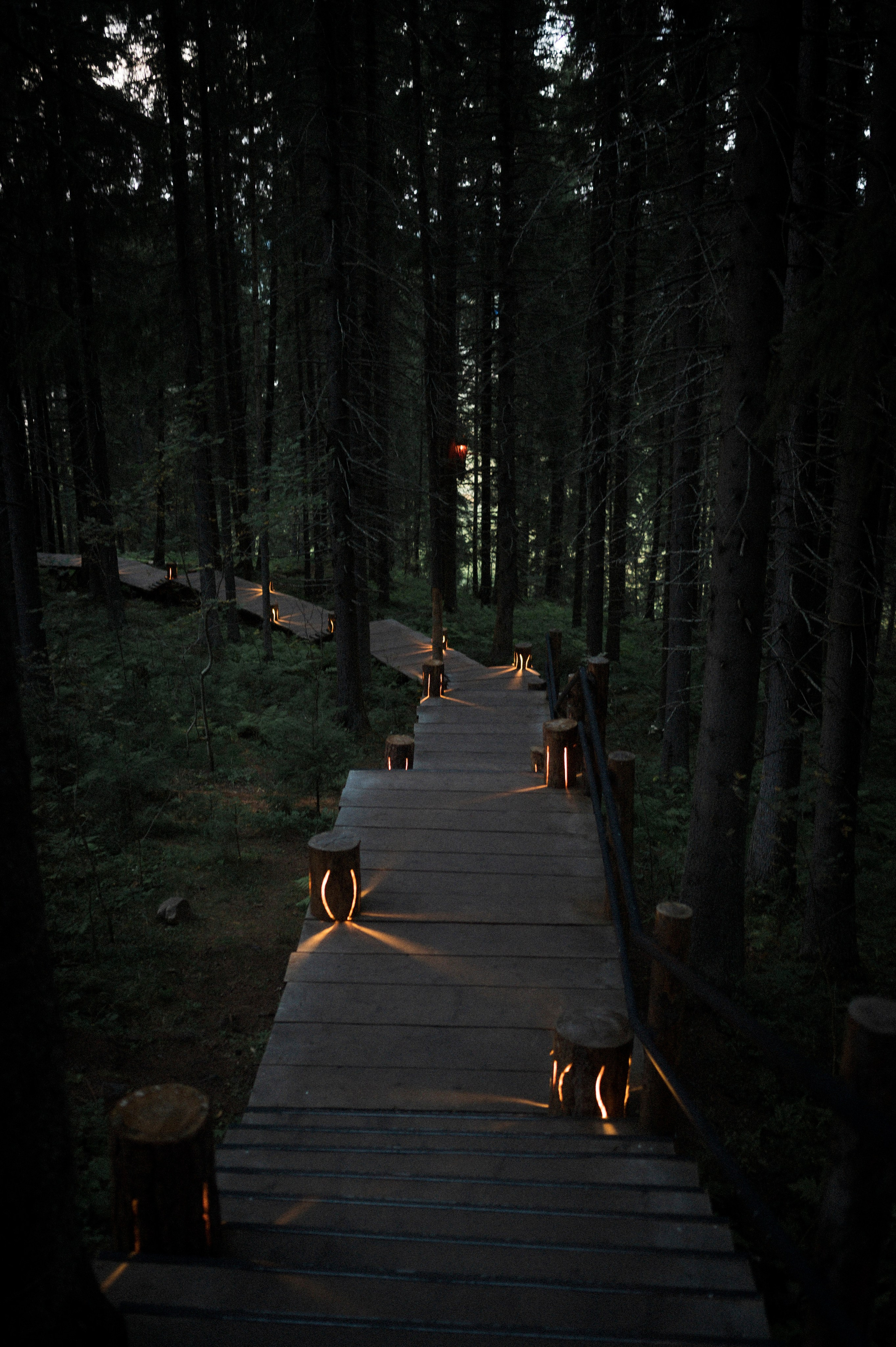 North 2024. Kartascheff