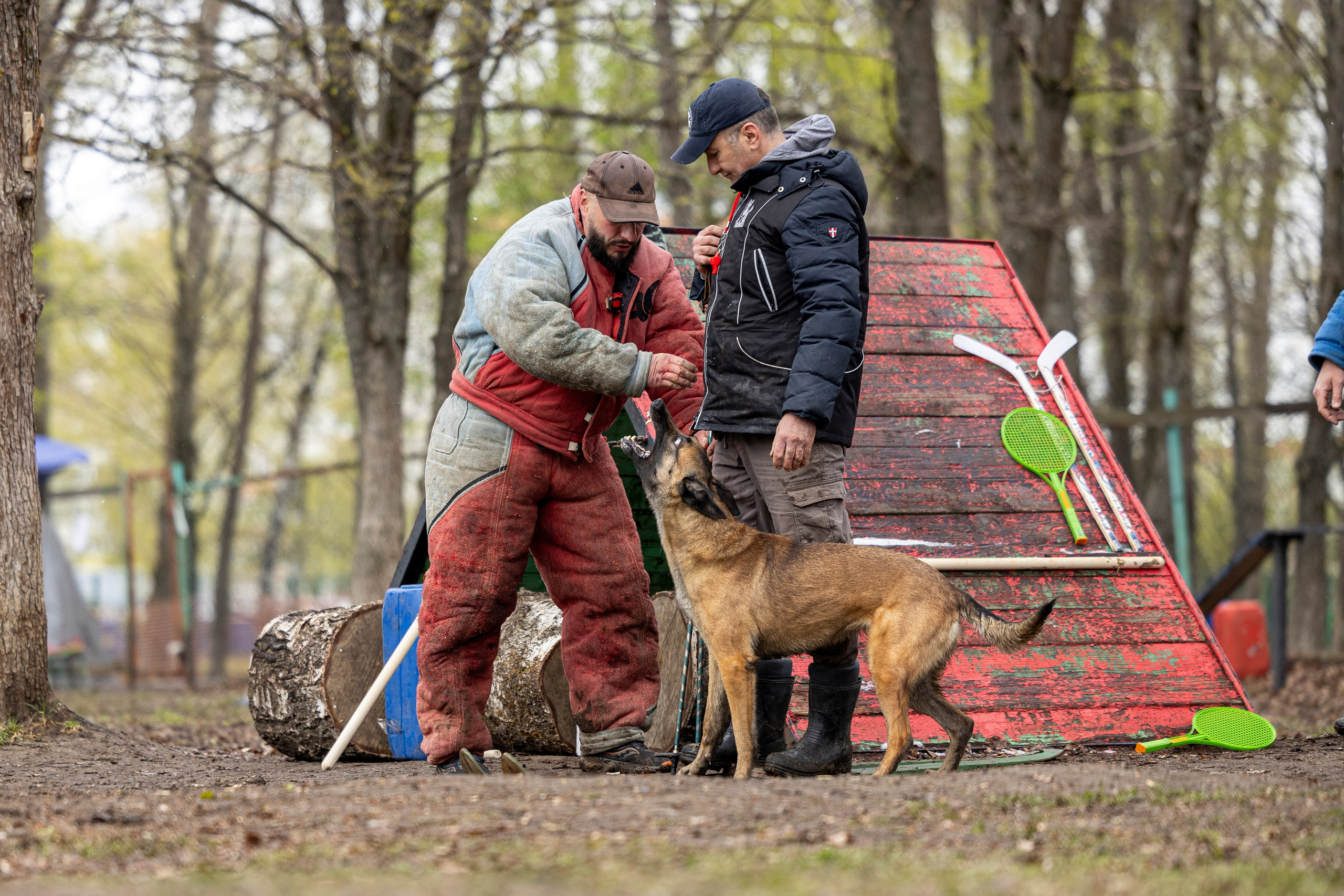 Квалификационные состязания по мондьорингу г. Вологда 11.05.24. Фотограф-анималист Анна Маринич