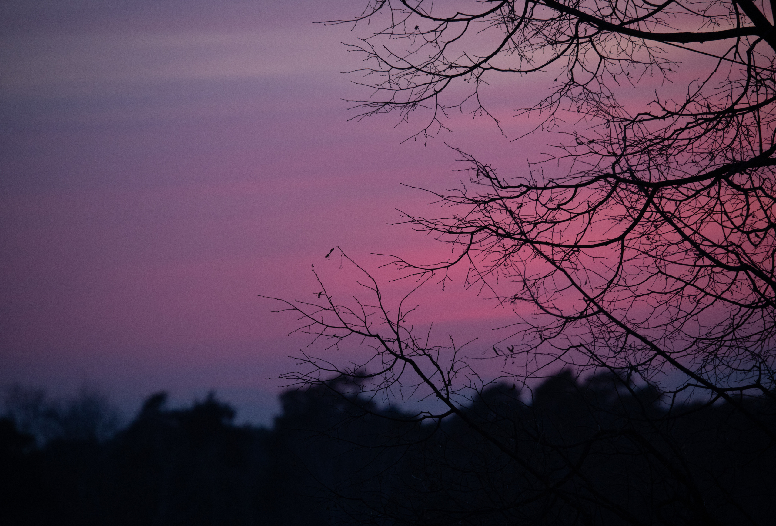 Природа. Матвей Лебедев: фото и видео, сайты. Москва, Жуковский, Малаховка