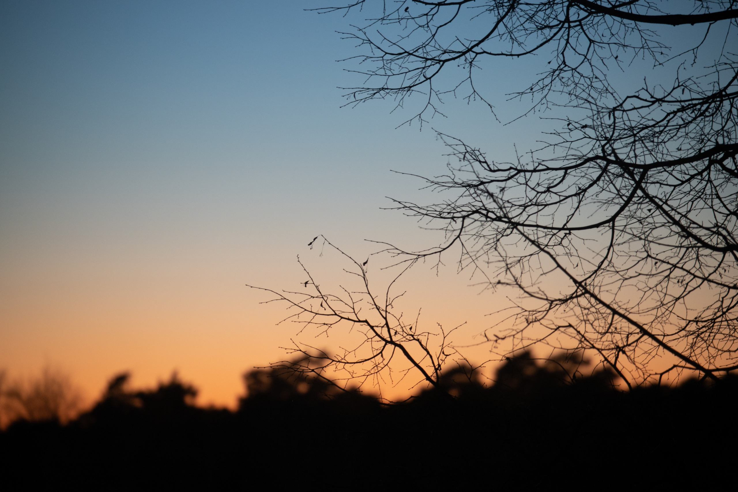 Природа. Матвей Лебедев: фото и видео, сайты. Москва, Жуковский, Малаховка