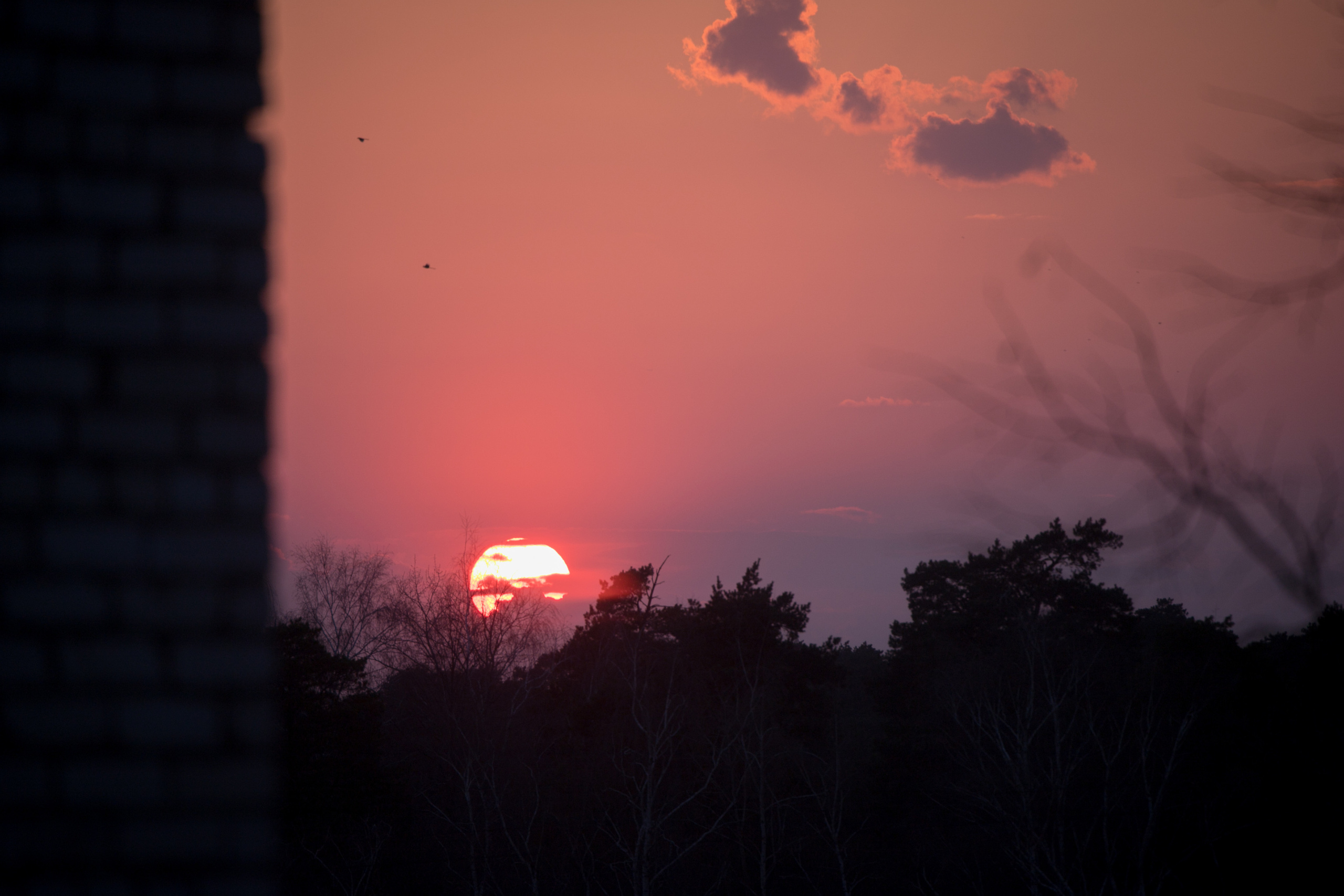 Природа. Матвей Лебедев: фото и видео, сайты. Москва, Жуковский, Малаховка