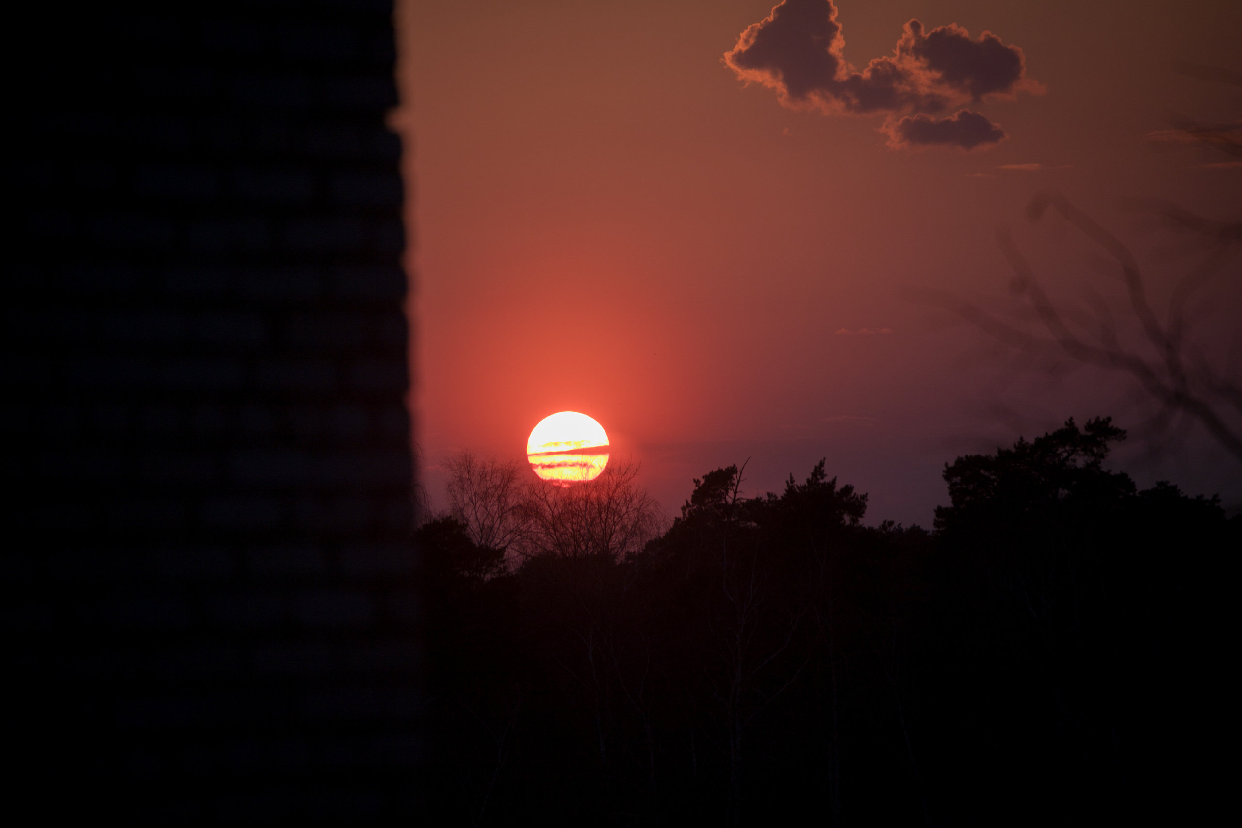 Природа. Матвей Лебедев: фото и видео, сайты. Москва, Жуковский, Малаховка