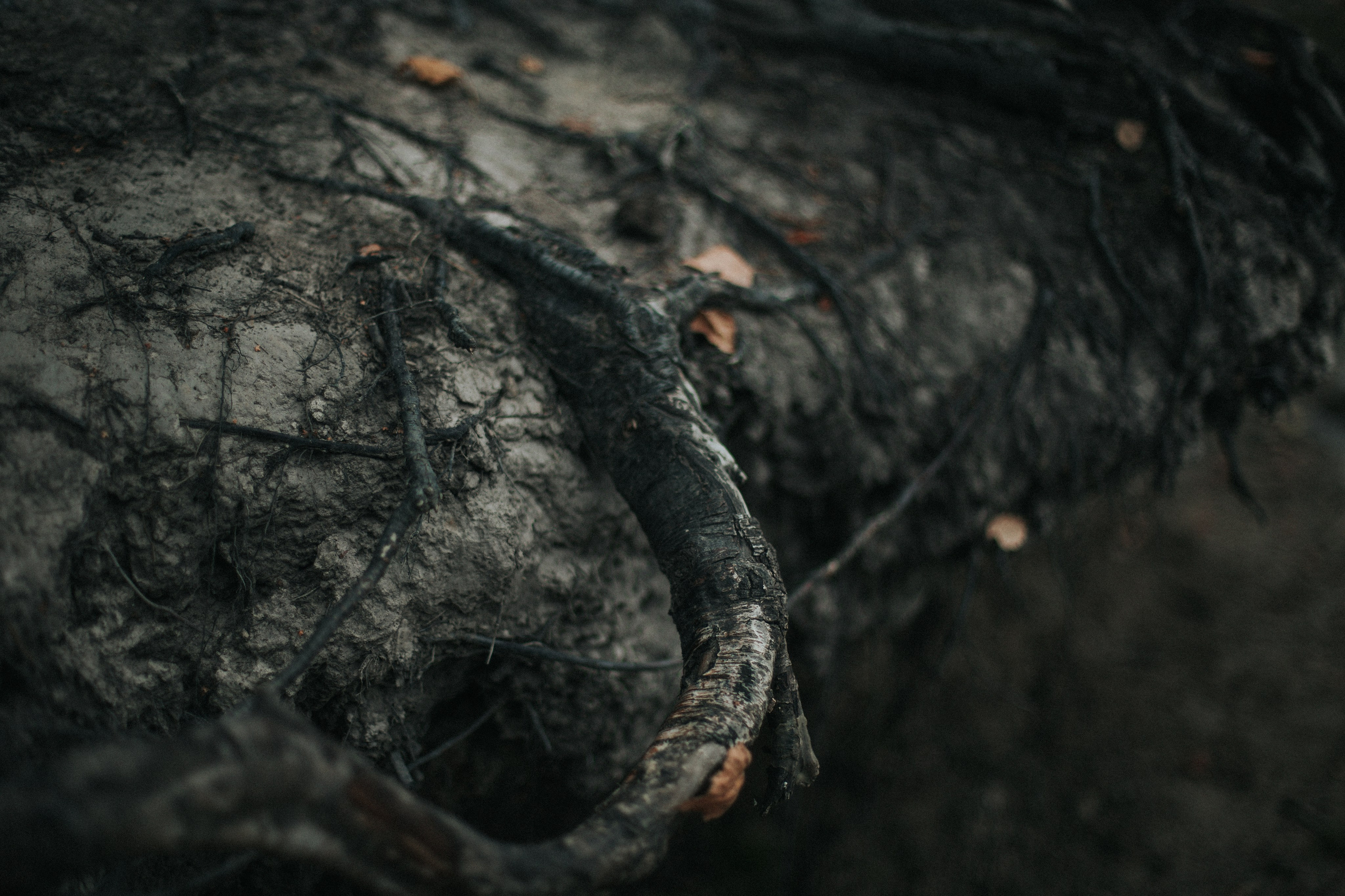 Вера. Озеро. Фотограф в Нижнем Новгороде