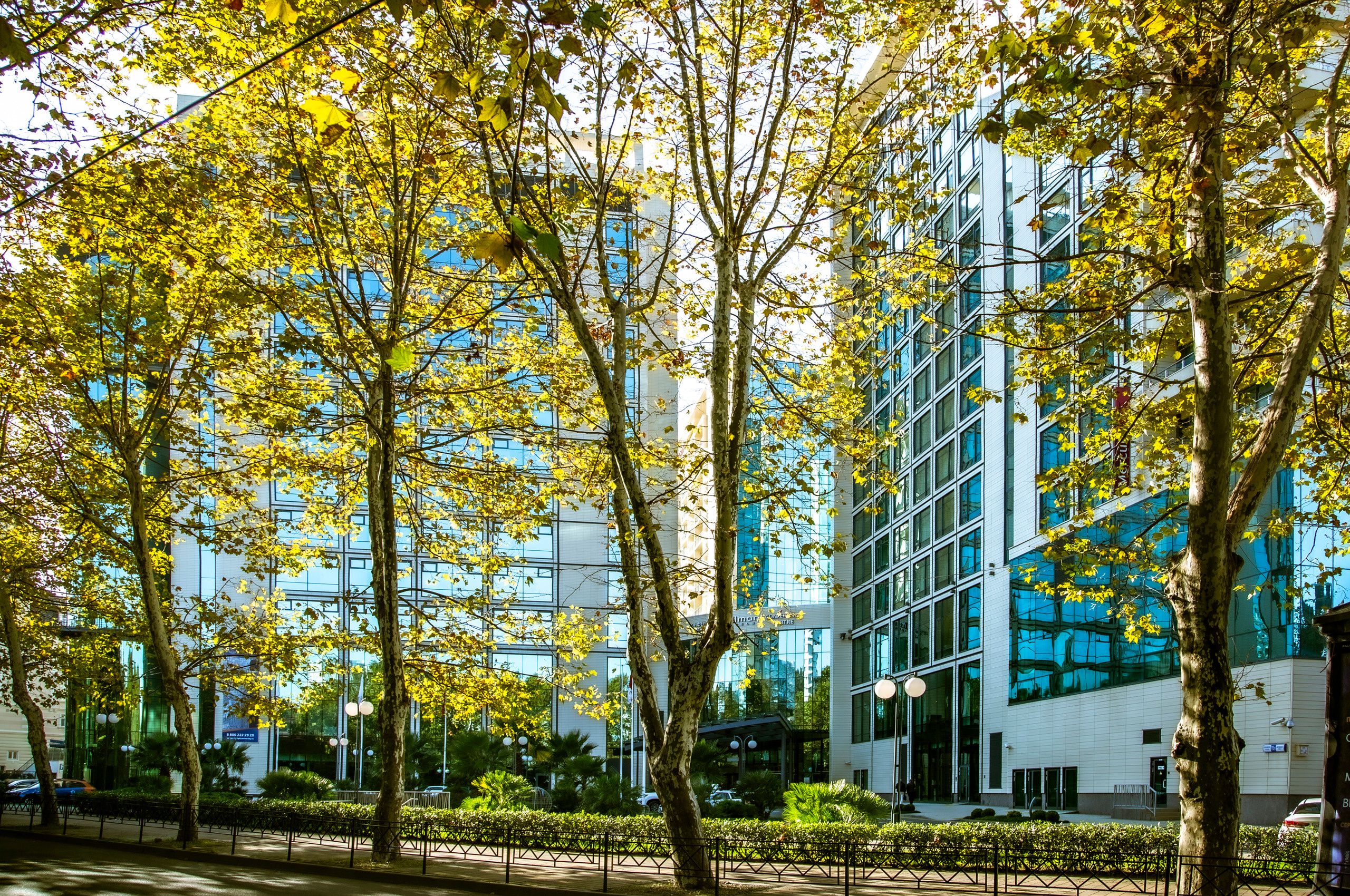 Пейзажи Сочи. Фотограф в Сочи Юрий Шептаев