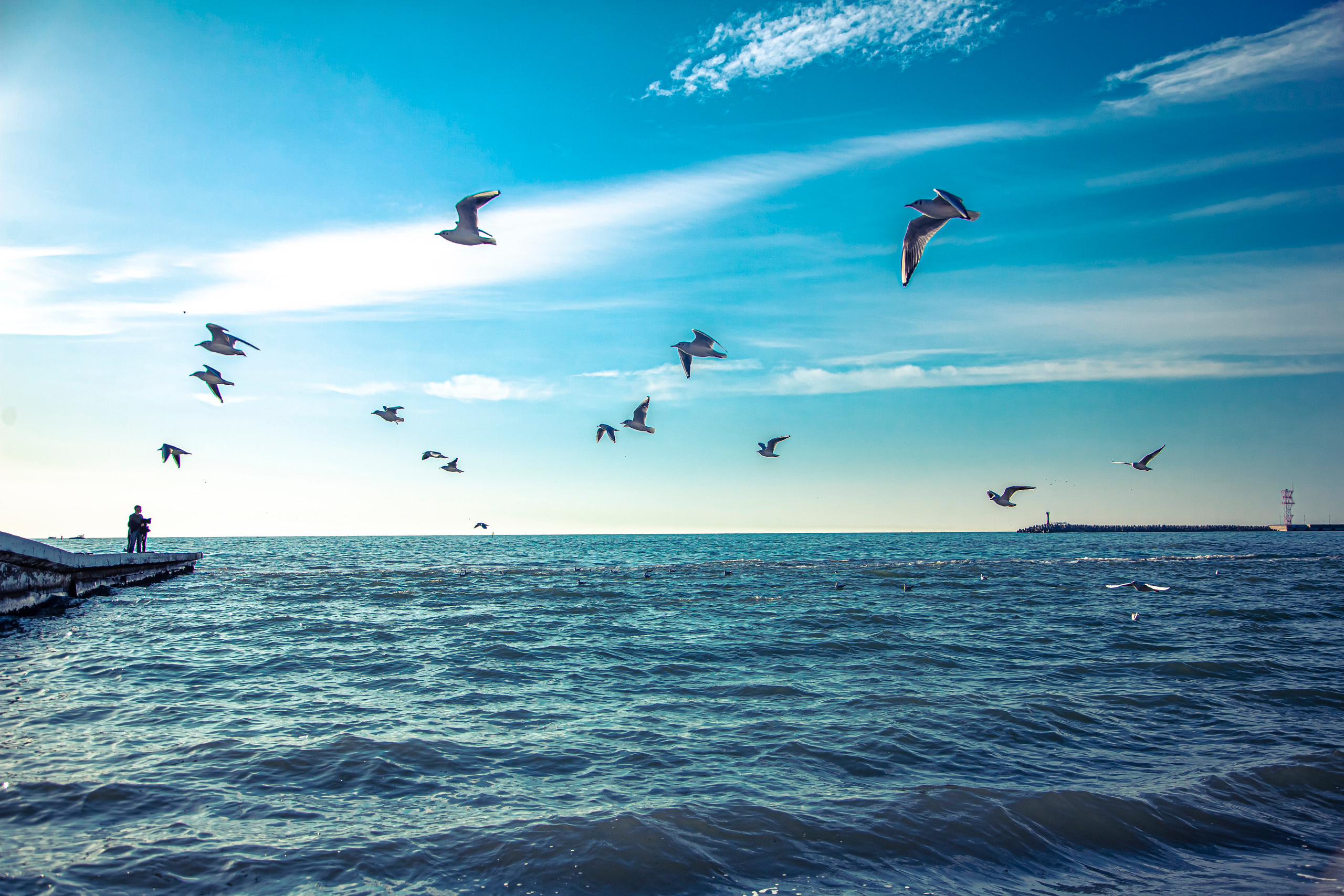Пейзажи Сочи. Фотограф в Сочи Юрий Шептаев
