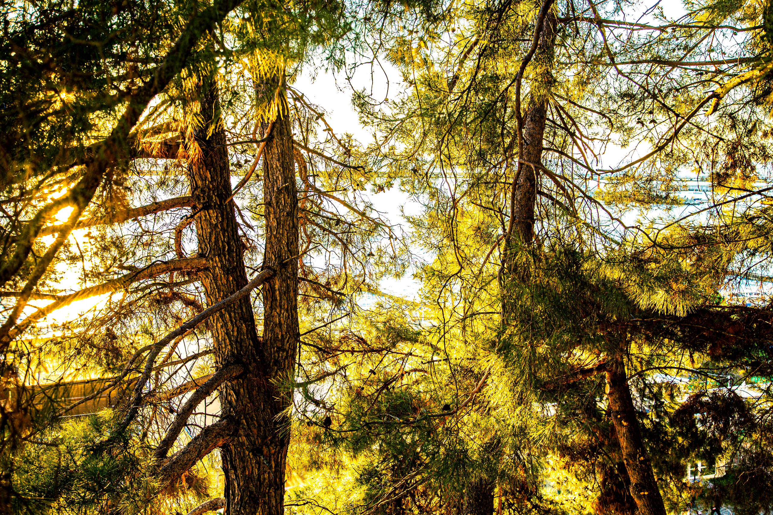 Пейзажи Сочи. Фотограф в Сочи Юрий Шептаев
