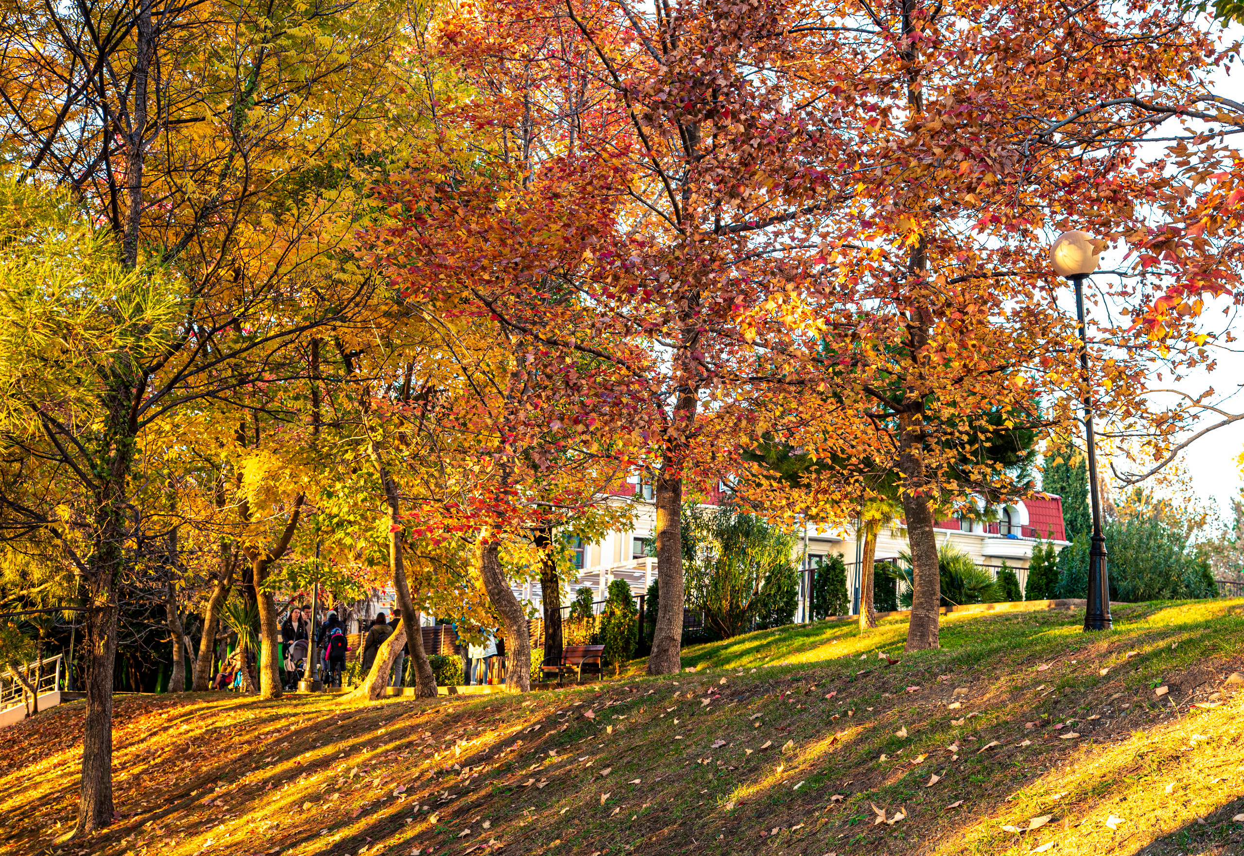 Пейзажи Сочи. Фотограф в Сочи Юрий Шептаев