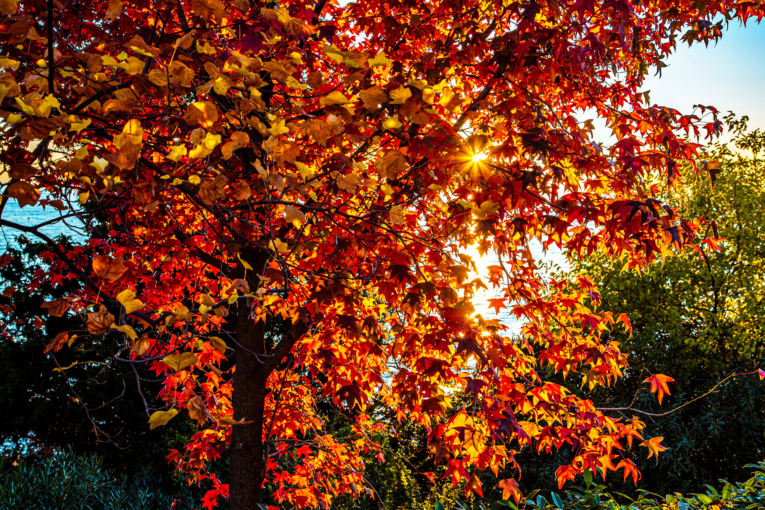 Пейзажи Сочи. Фотограф в Сочи Юрий Шептаев
