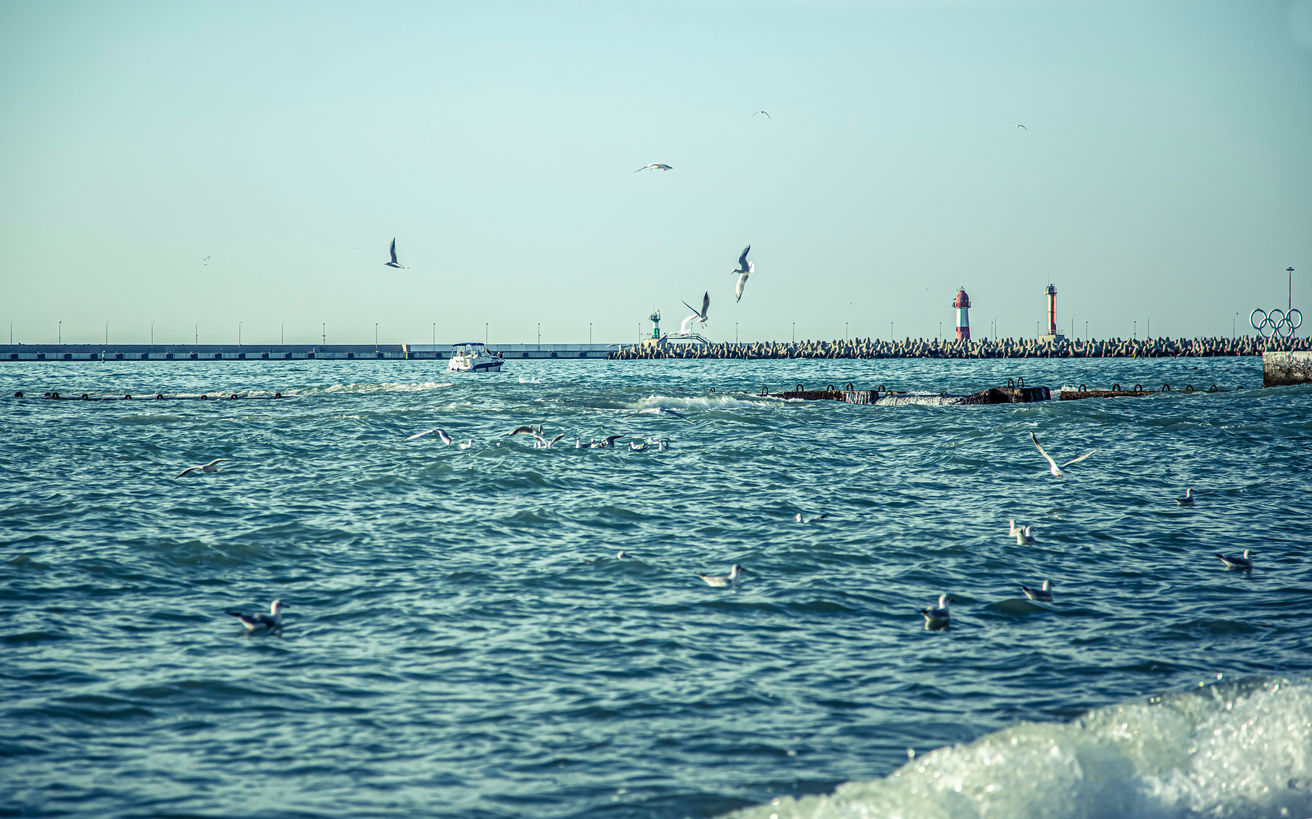 Пейзажи Сочи. Фотограф в Сочи Юрий Шептаев