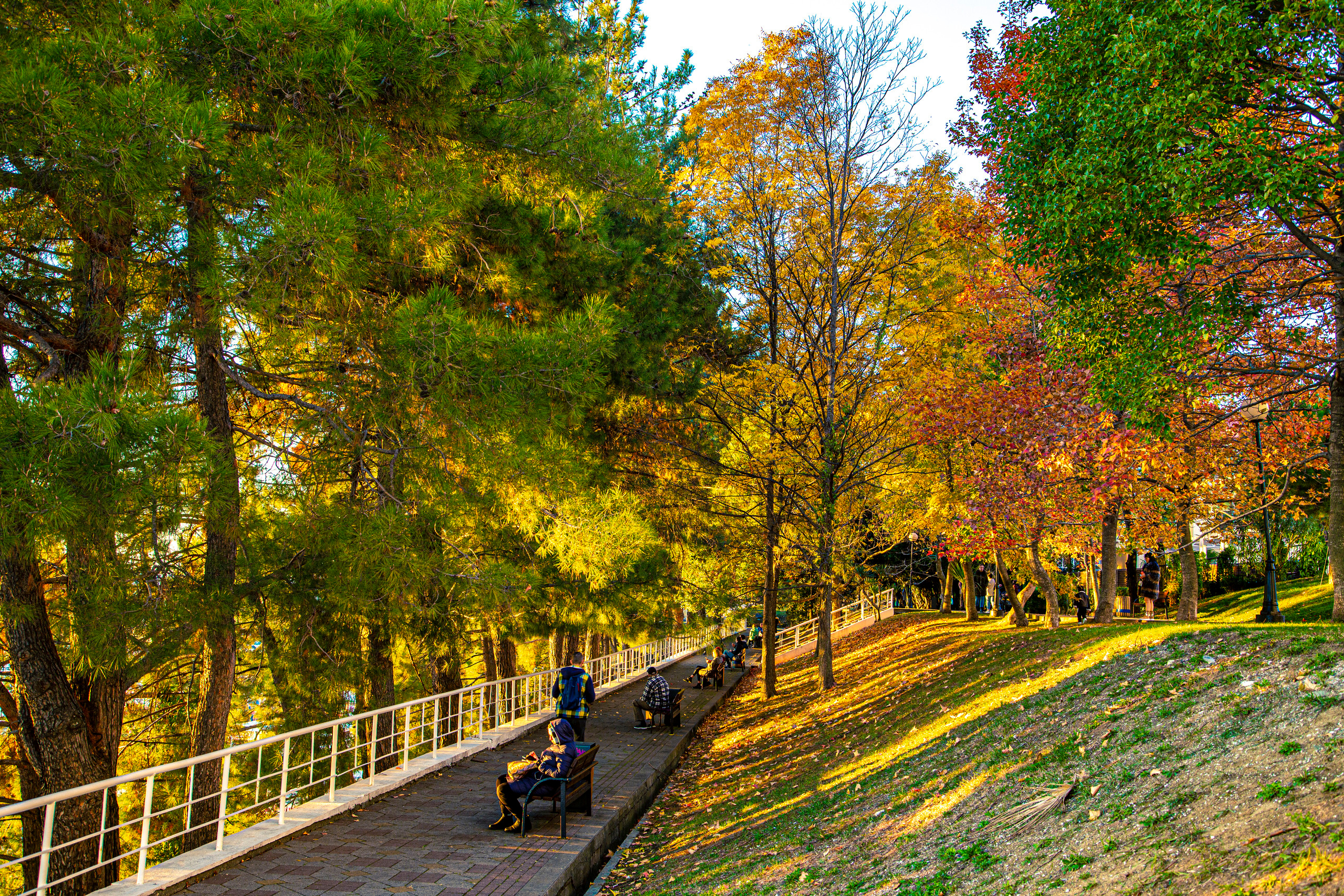 Пейзажи Сочи. Фотограф в Сочи Юрий Шептаев