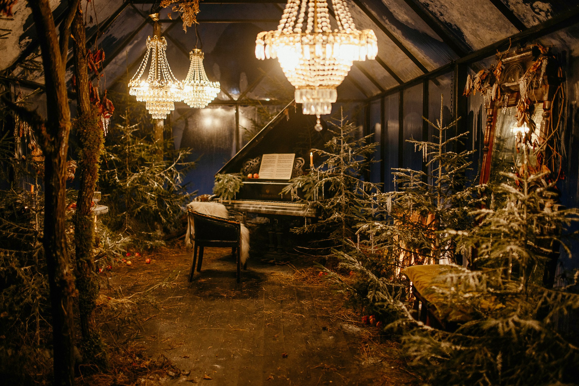 Теплица. Фотостудия «Зачарованный Сад» в 20 минутах от центра Екатеринбурга