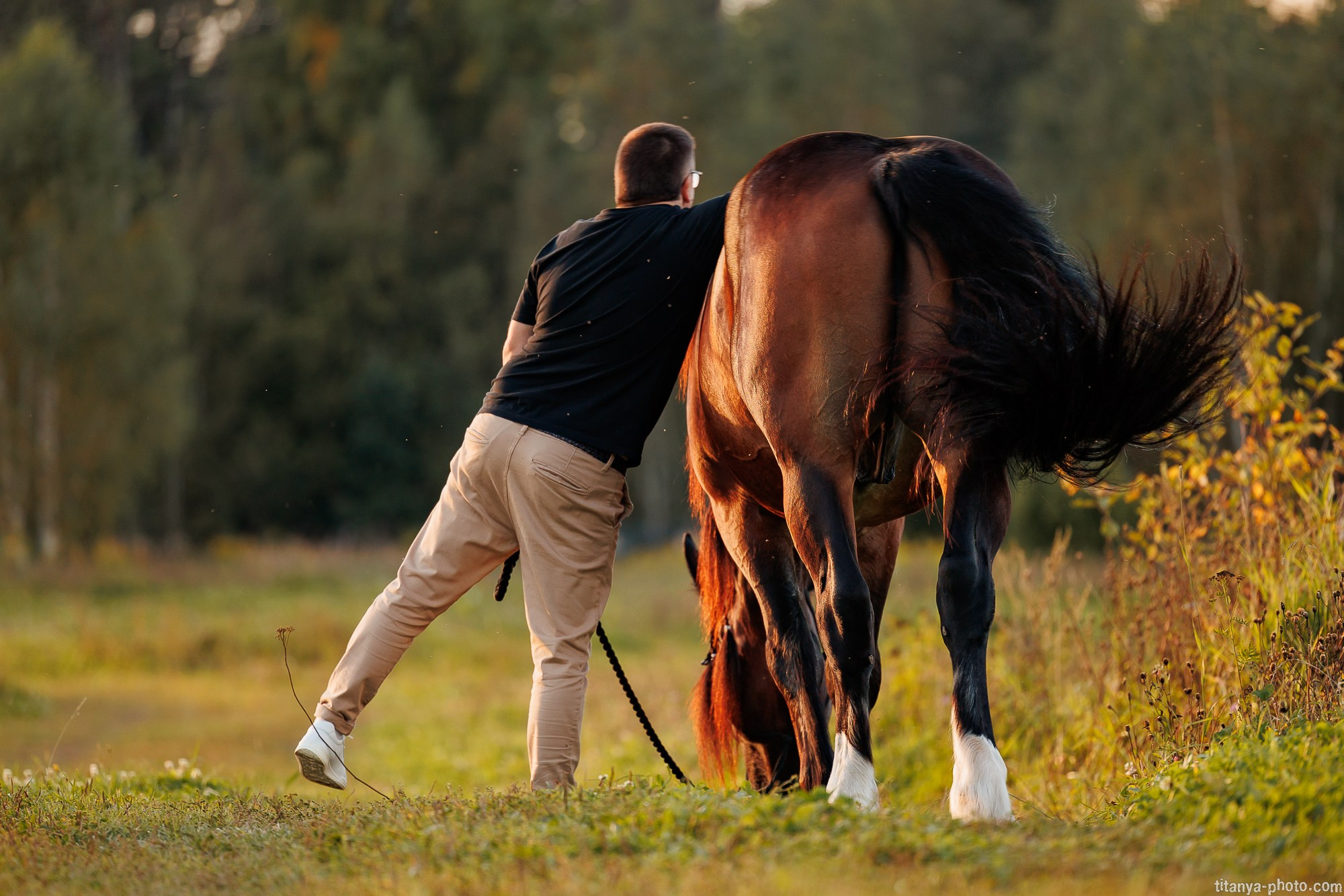 Закатная семейная фотосессия: про Настю и её дружную семью. Фотограф собак, фотограф-анималист Аня Титова (Titanya). Москва