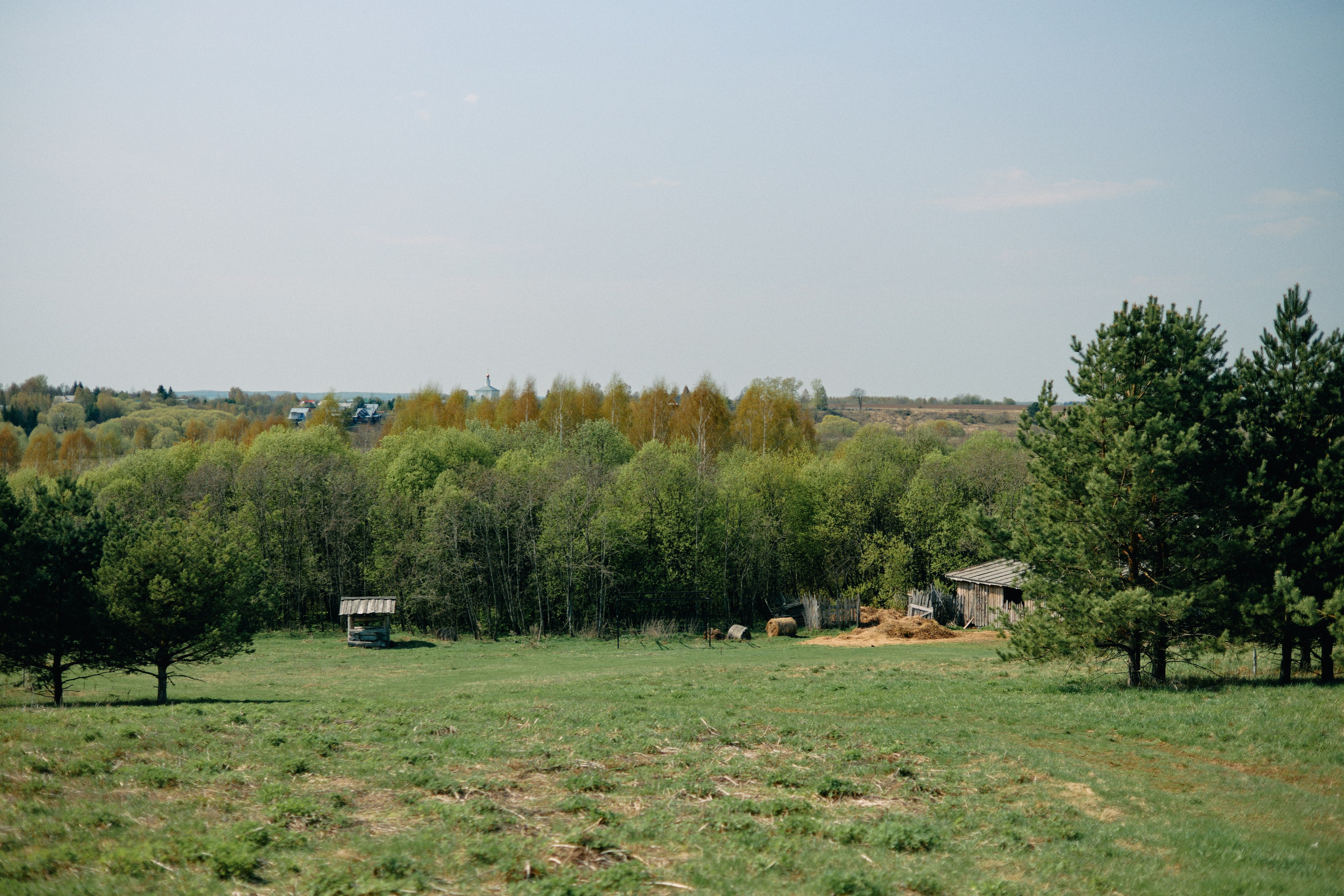 Бутик-отель Поле летом. Профессиональный Фотограф во Владимире, в Москве и в Суздале — Полина Романычева