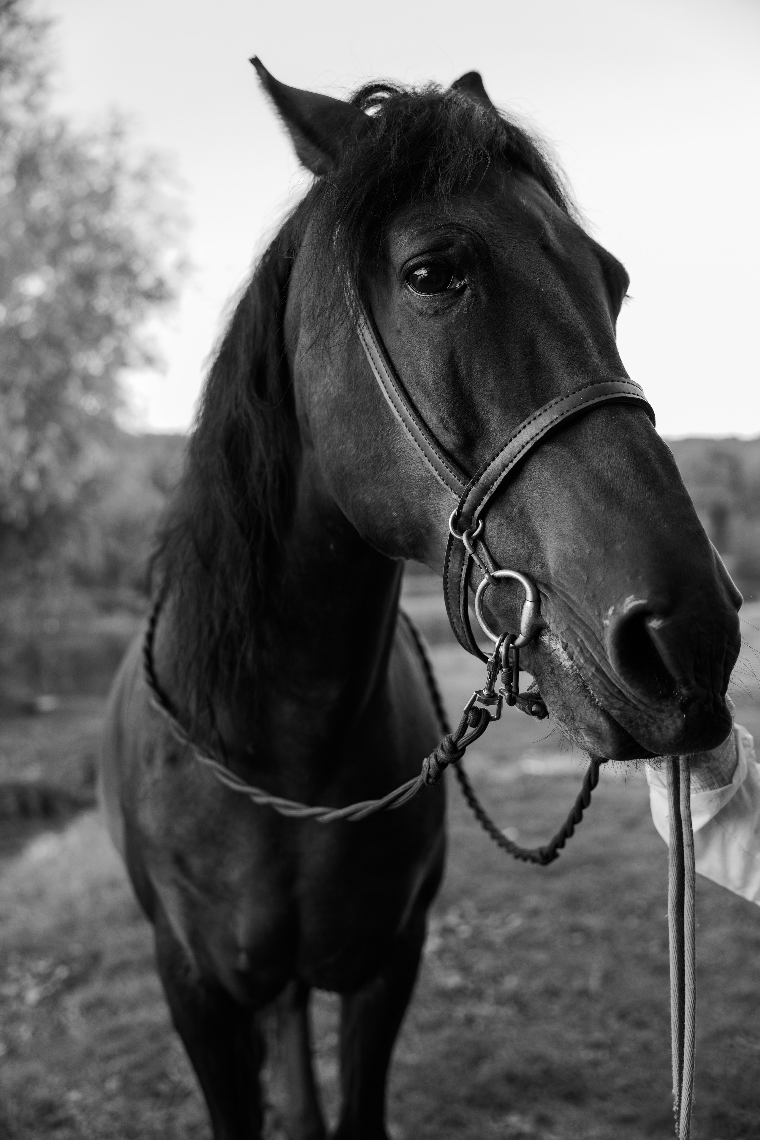 Женская фотосессия в Казани. Фотограф в Казани Ольга Яшина