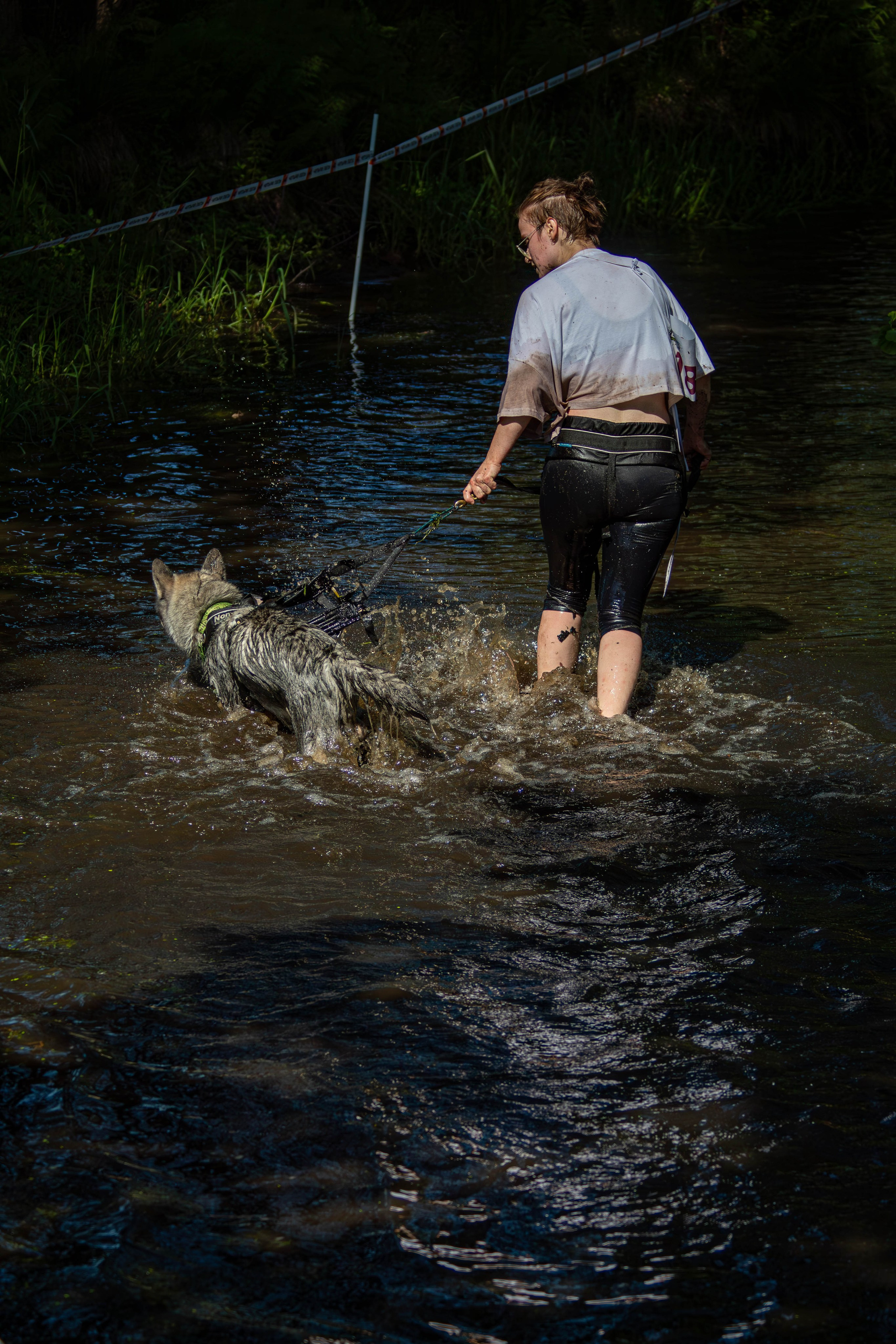 Хвостатый Драйв 2024. Фотограф анималист — Тула, Москва