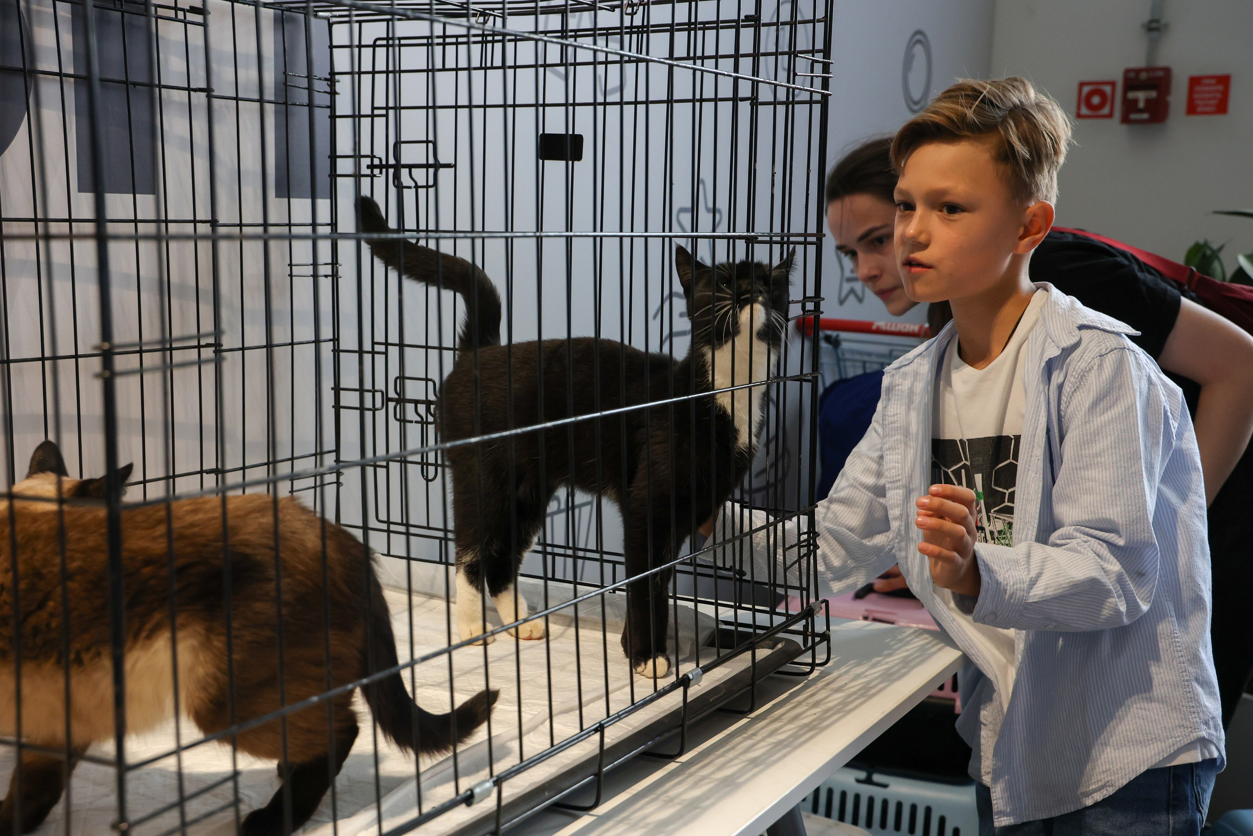 ECO FEST. Фотограф Вадим Бодылев