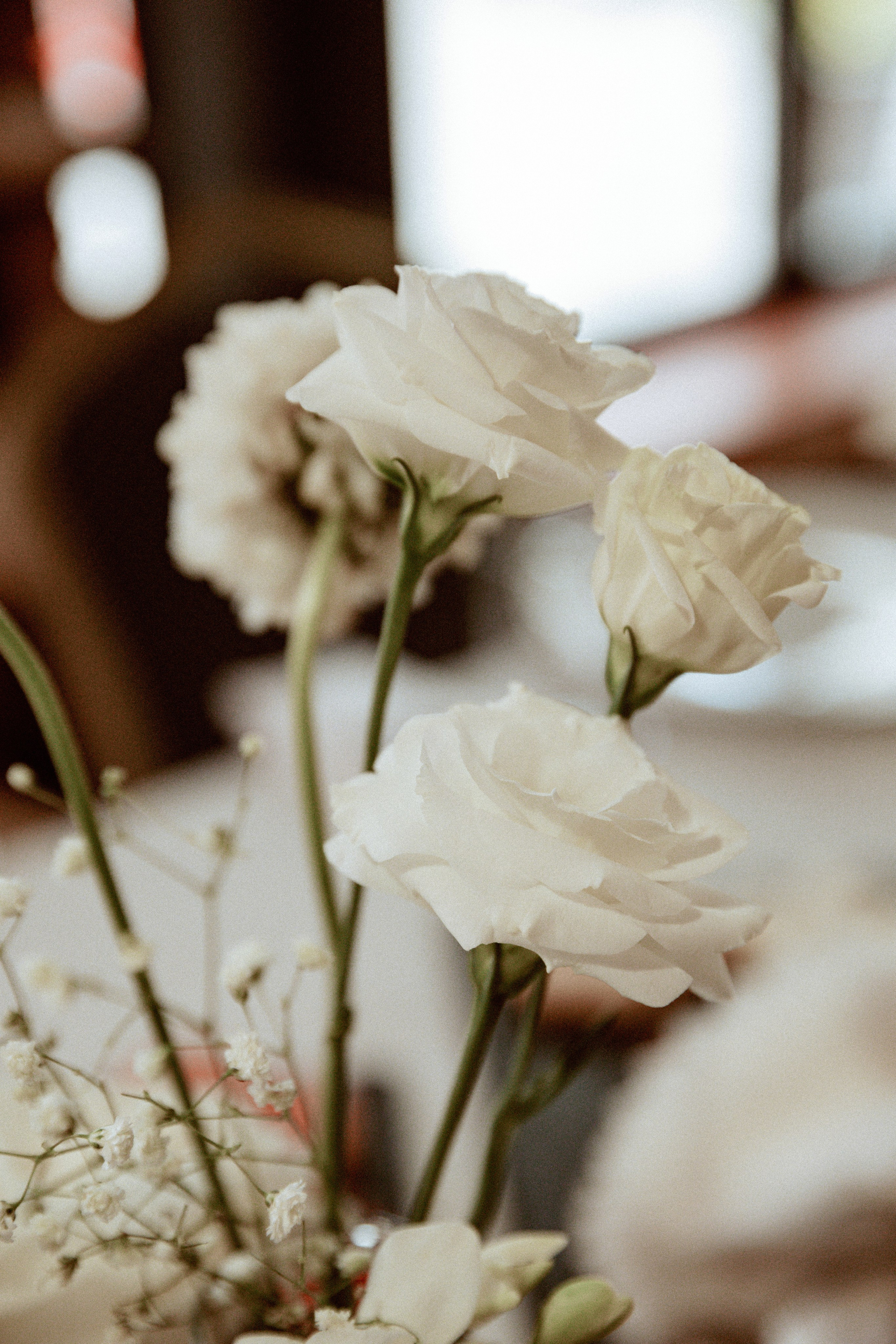 Элеонора & Николай. Свадебный фотограф Лена Чистопольцева