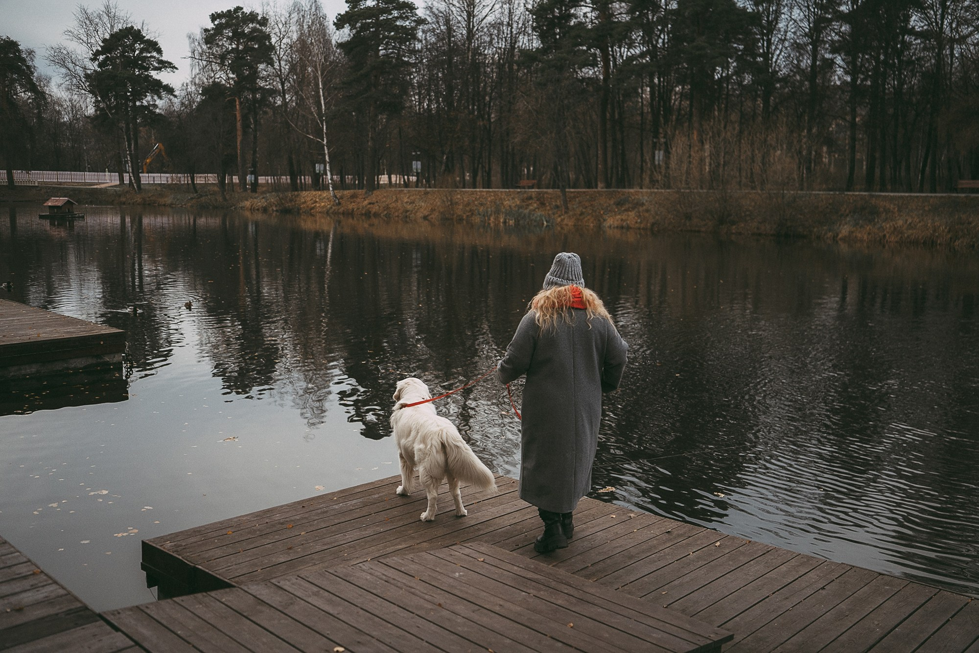 Лена и Мерлин. Фотограф анималист в Москве и Санкт-Петербурге Свиридова Анна