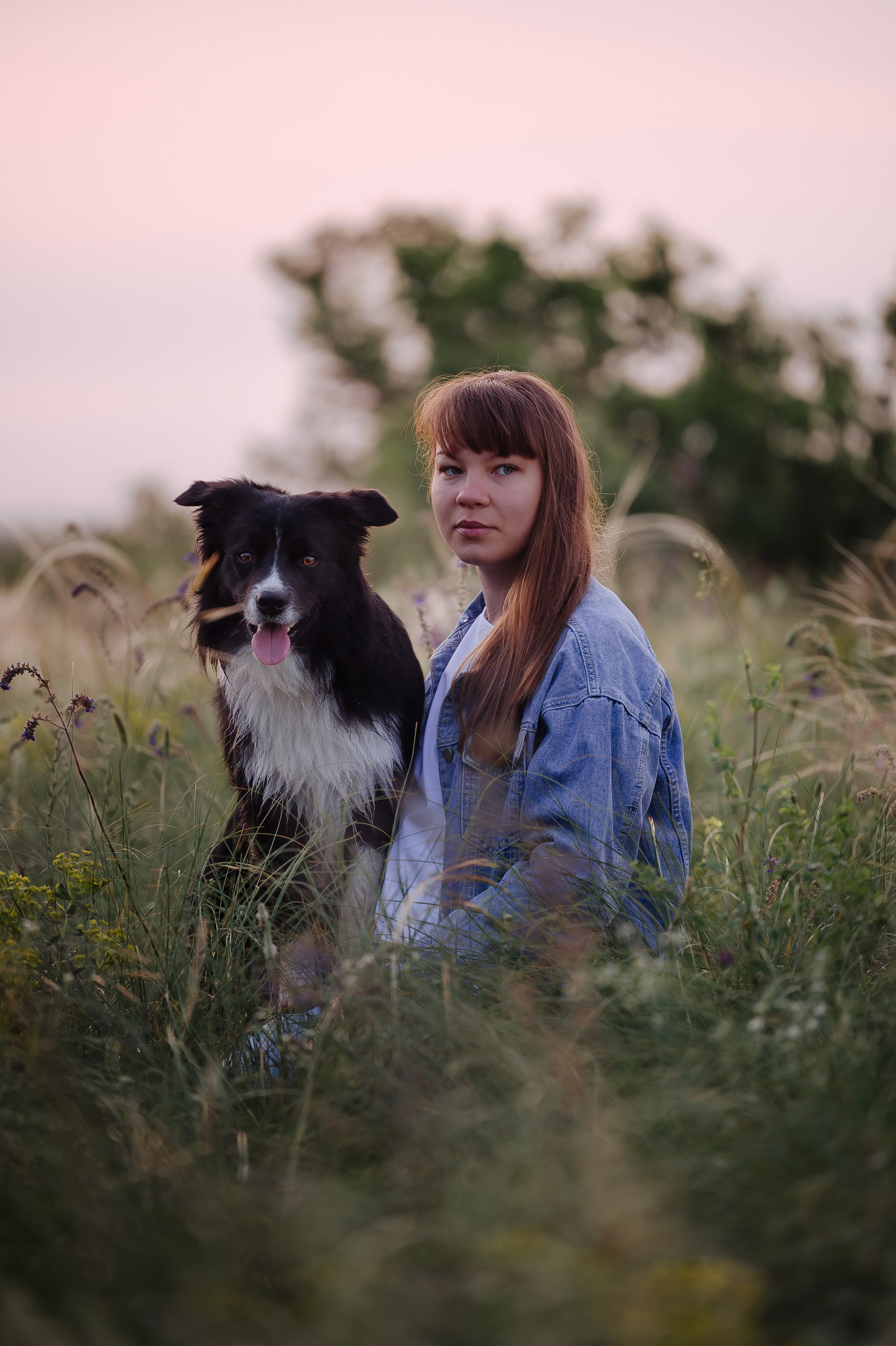Прогулка на рассвете с бордер-колли. Фотограф в Ростове —на — Дону