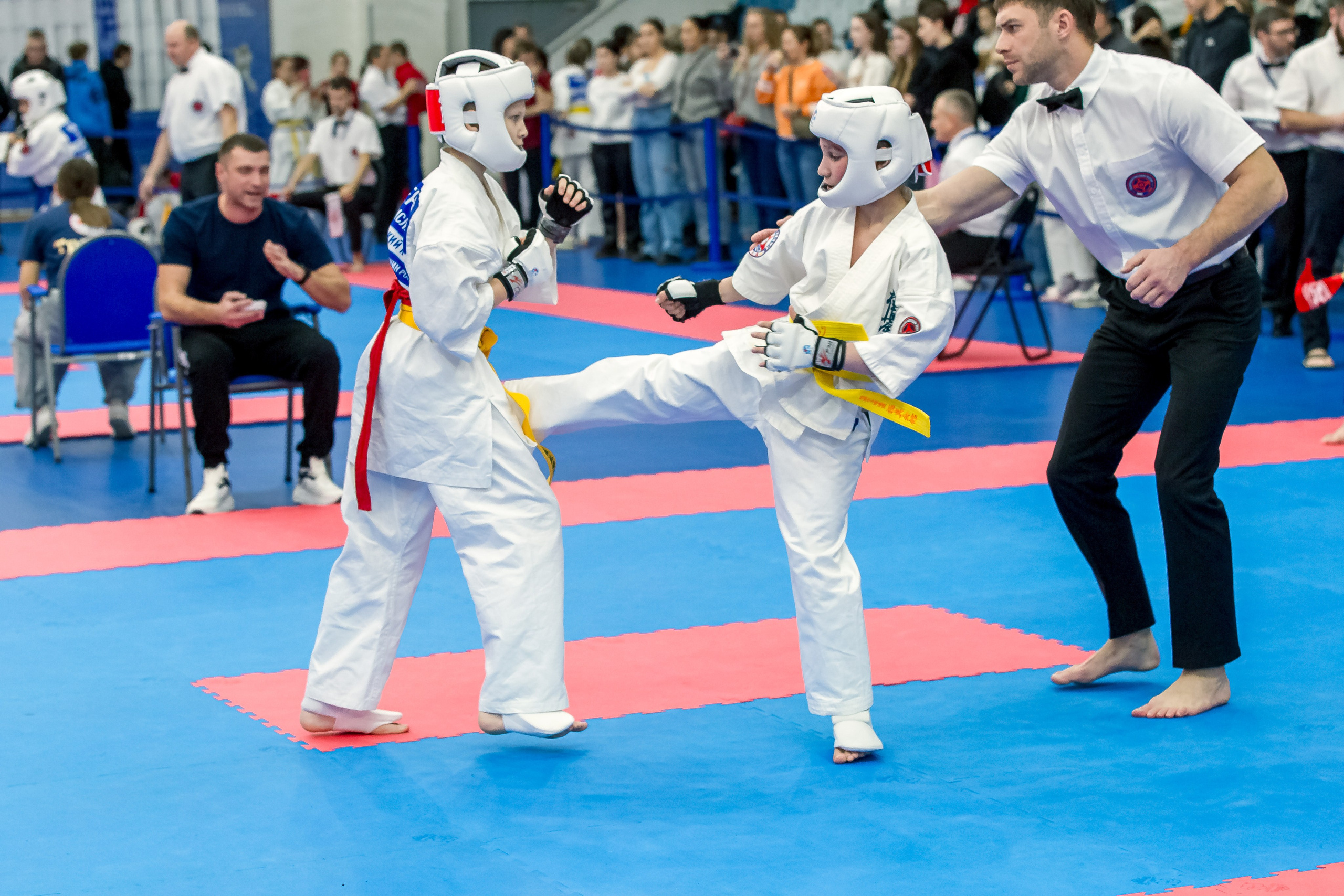 Соревнования по Киокушин памяти С. Увицкого. Репортажная съемка в Москве и области. Анималистика