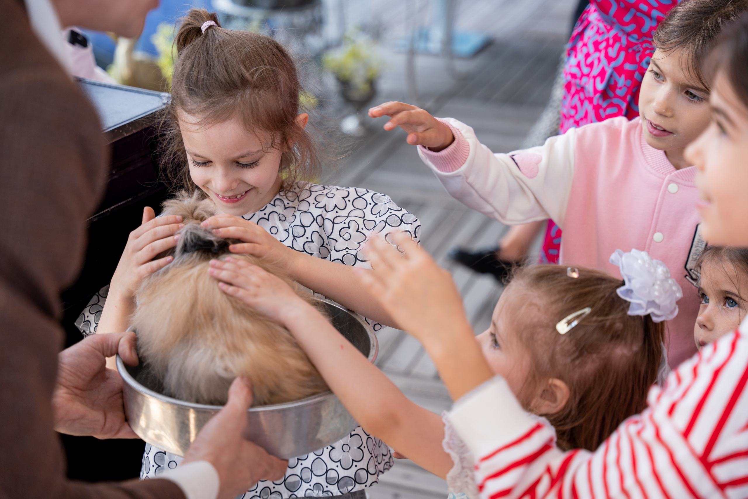 СЕМЕЙНЫЙ БРАНЧ 1 ИЮНЯ. Фотограф на любое мероприятие