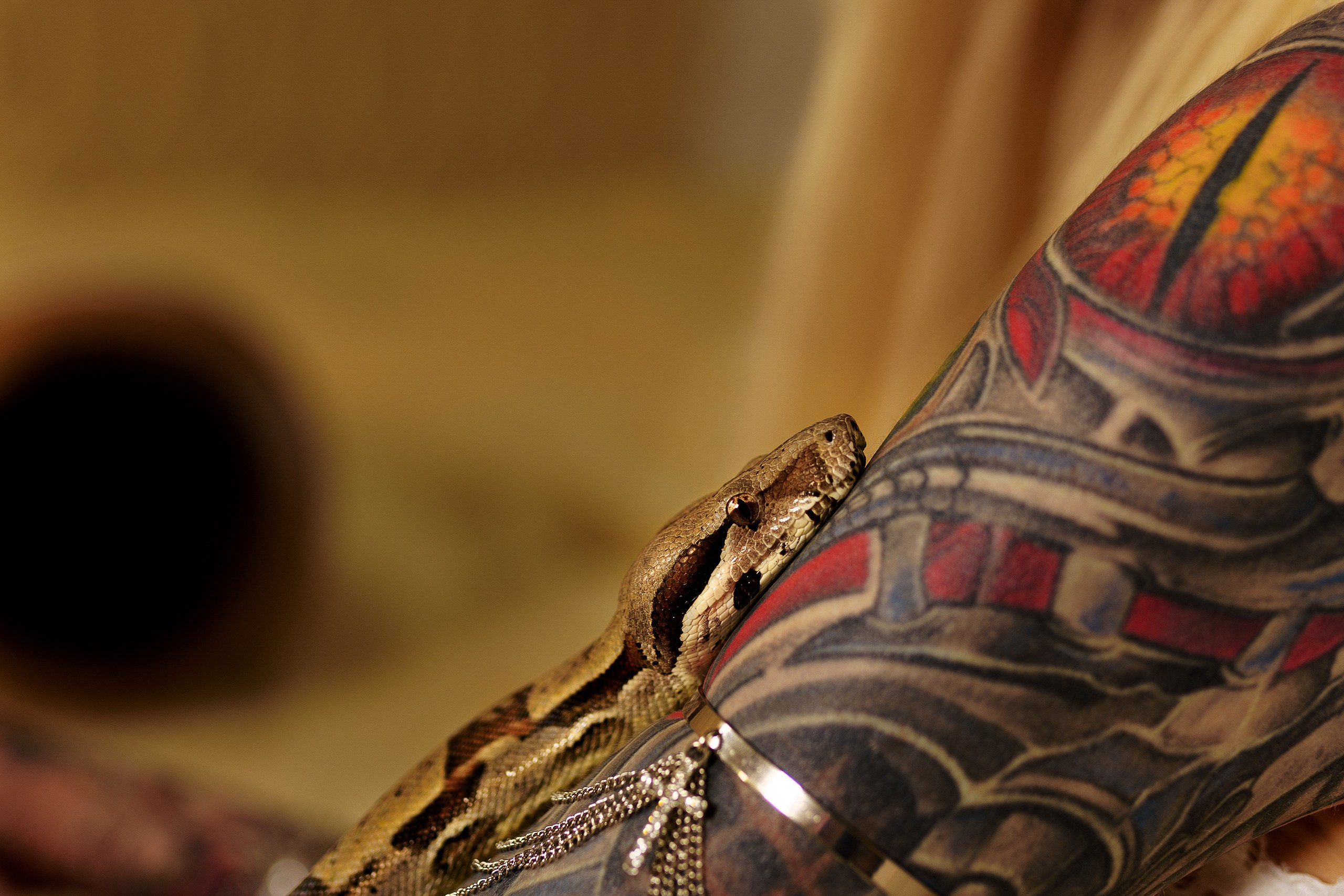 Тина. Фотограф в Москве