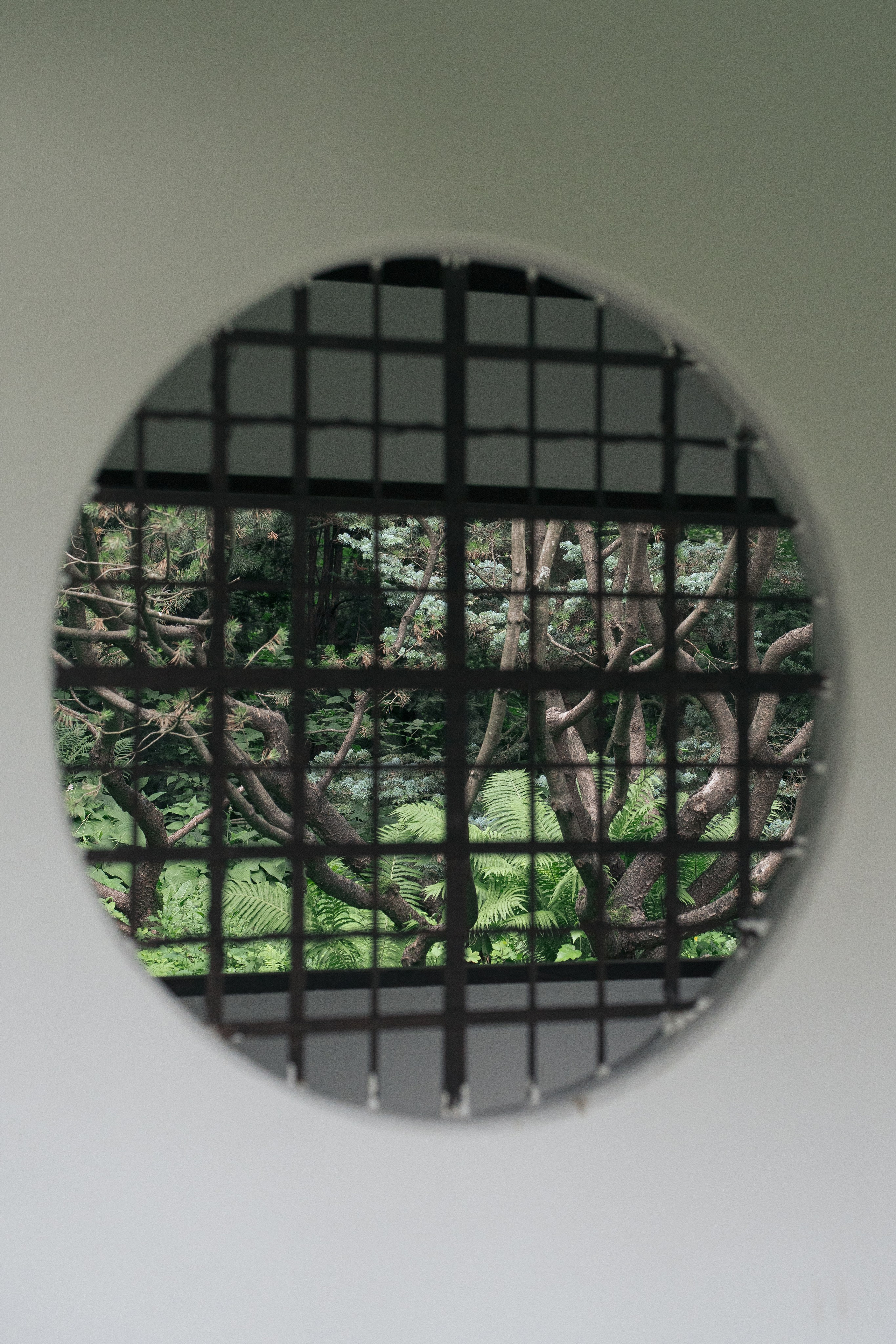 JAPANESE GARDEN. Anne Demia