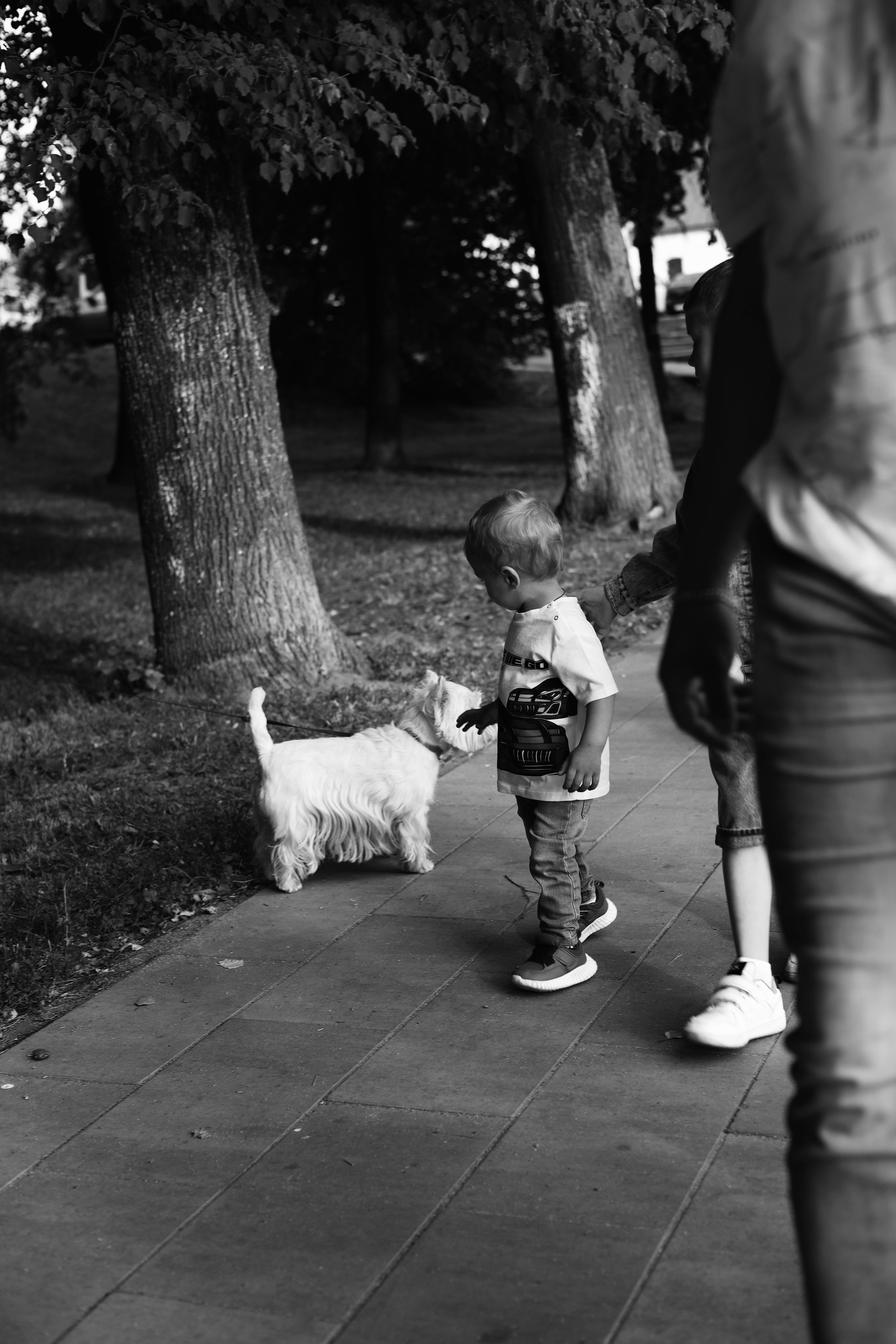 Семейная съемка Alina. Photographer Tatiana Ivanova in Yaroslavl