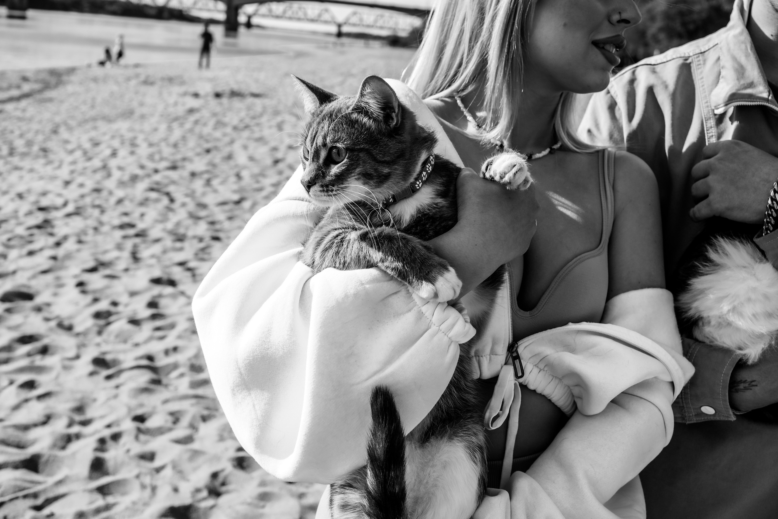 Leila&Dima. Photographer Tatiana Ivanova in Yaroslavl