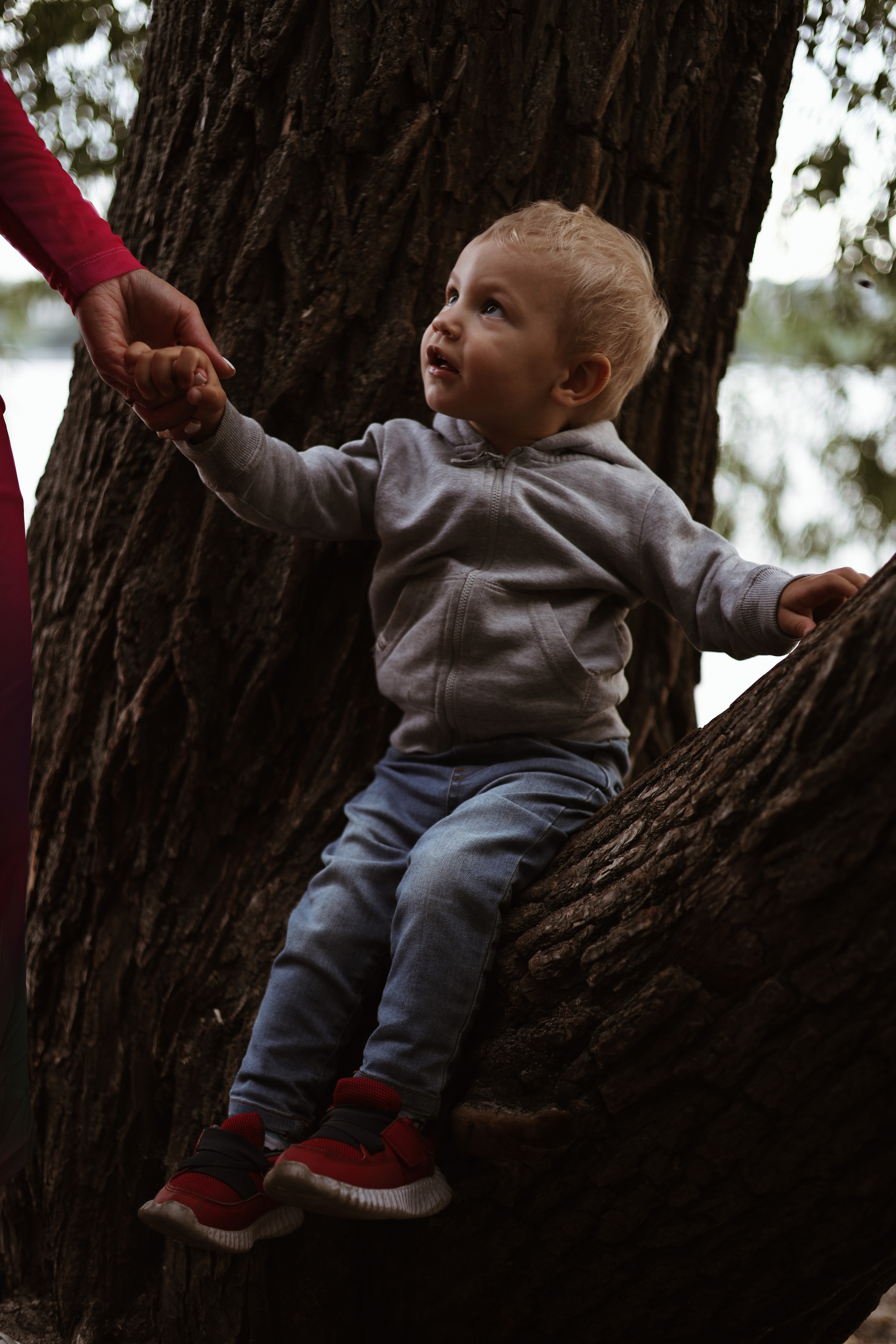 Семейная съемка Alina. Photographer Tatiana Ivanova in Yaroslavl