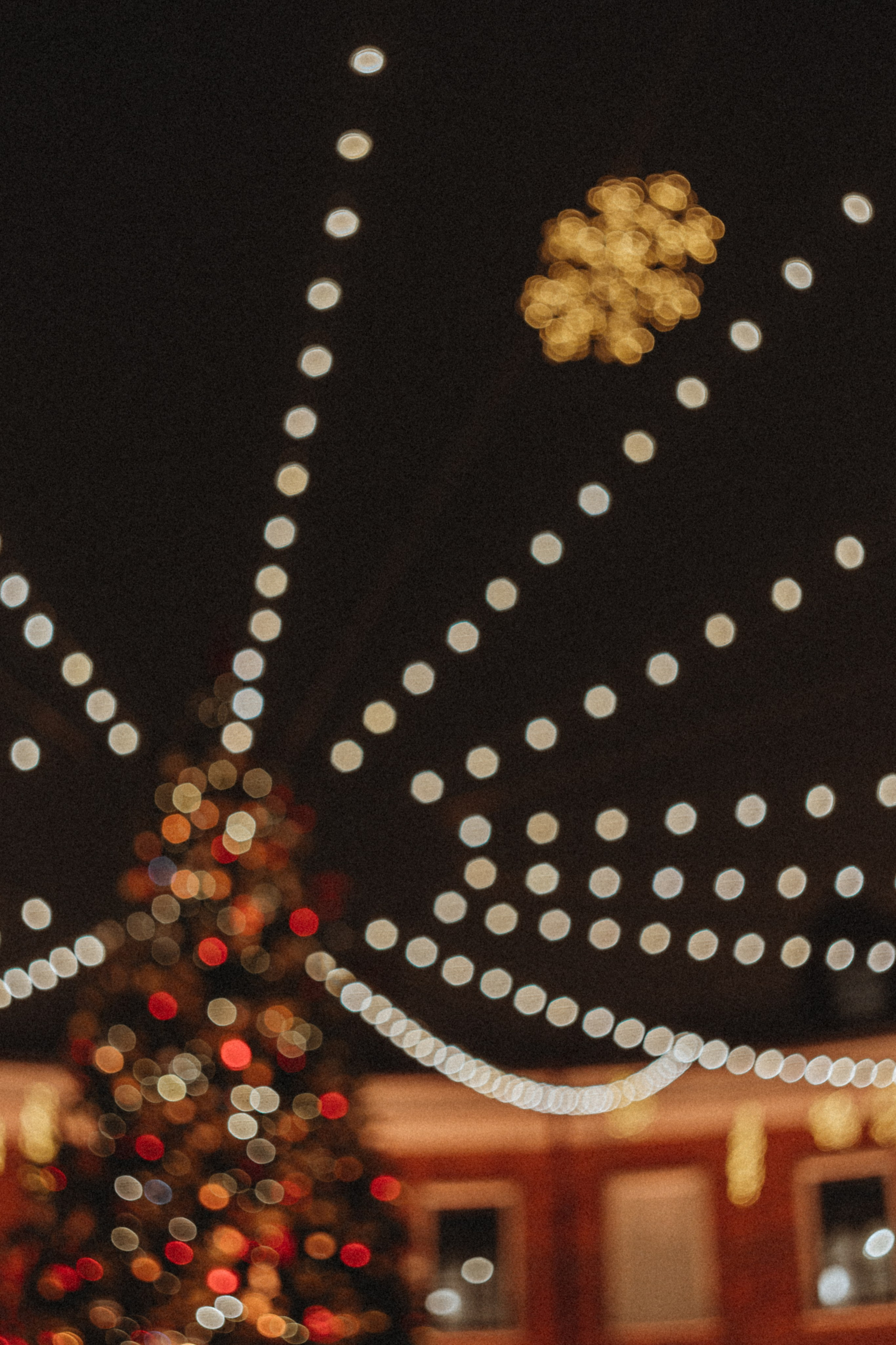 SIMA. Портретный и Семейный фотограф в Санкт-Петербурге Rocket Alice