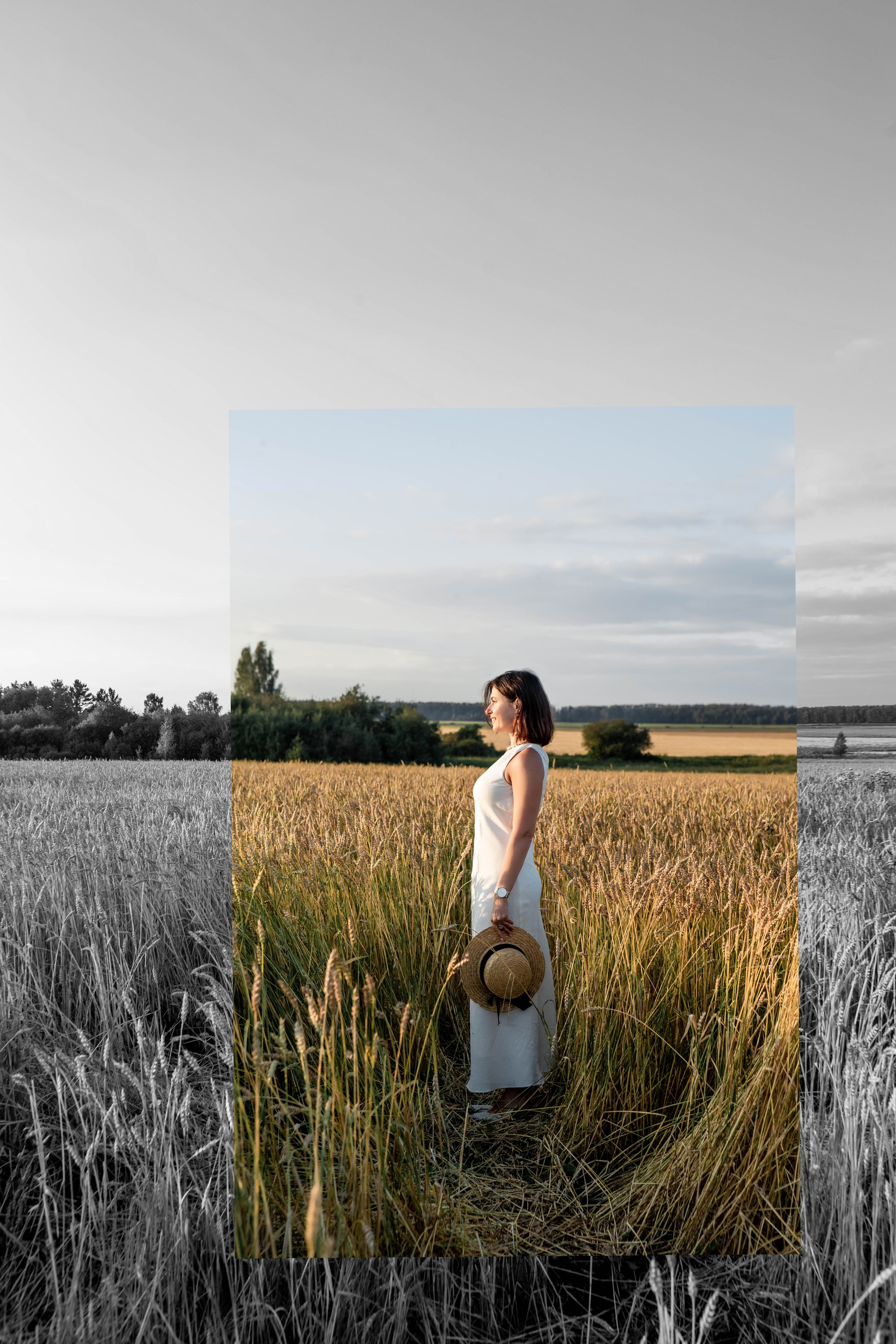 Пшеница на закате. Фотограф Екатерина Голицына