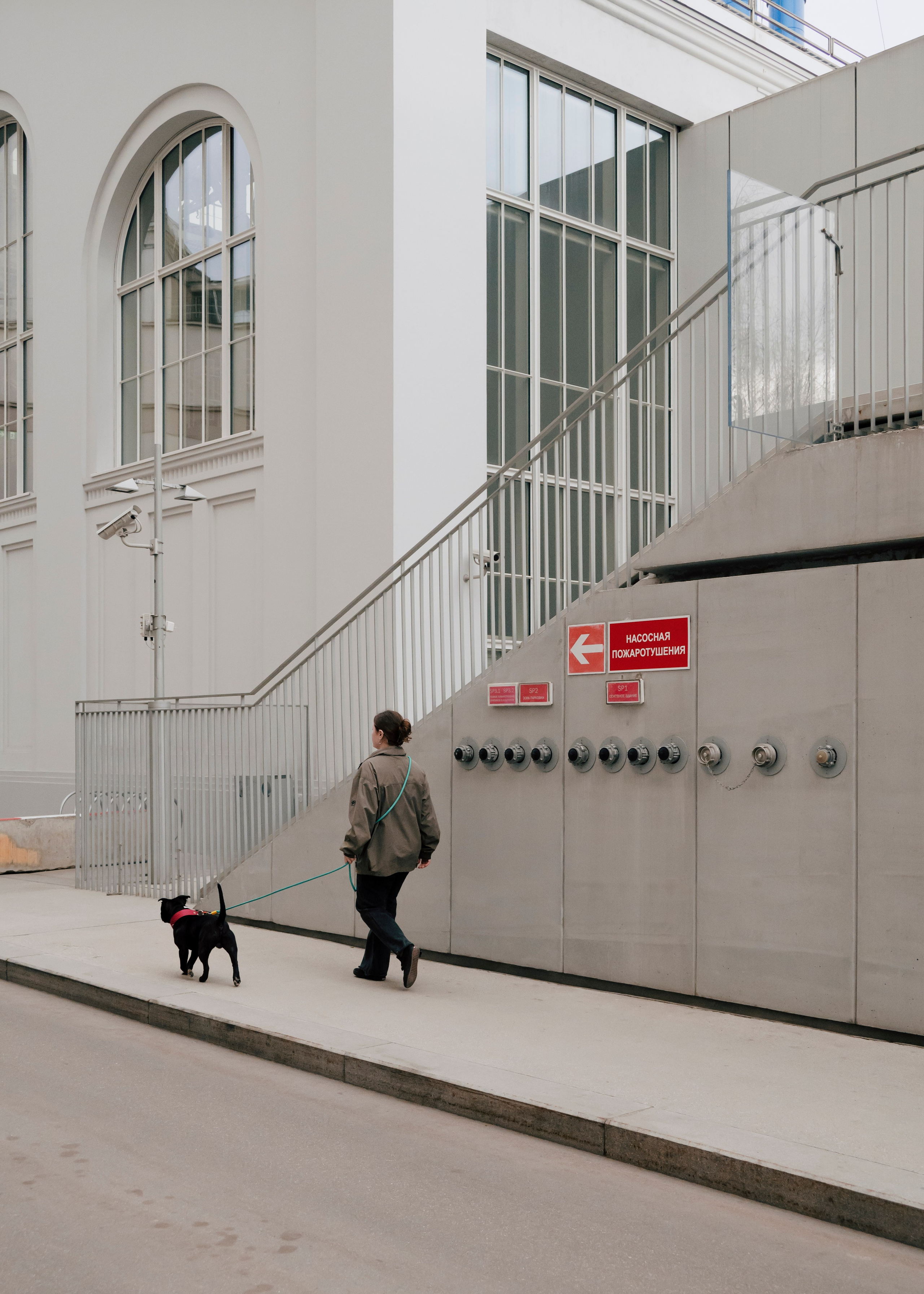 Держись меня. Фотограф- анималист Александра Матвеева