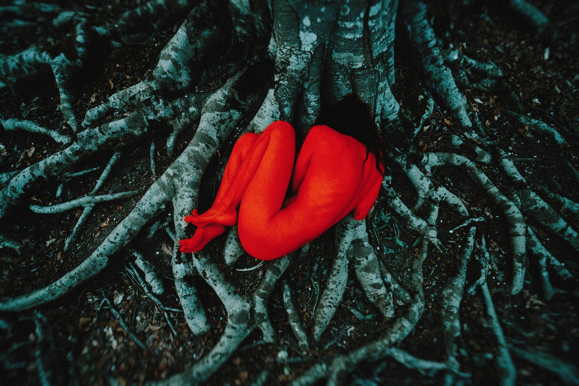 МЕТАТУНДРА. Visual artist Daniil Kontorovich