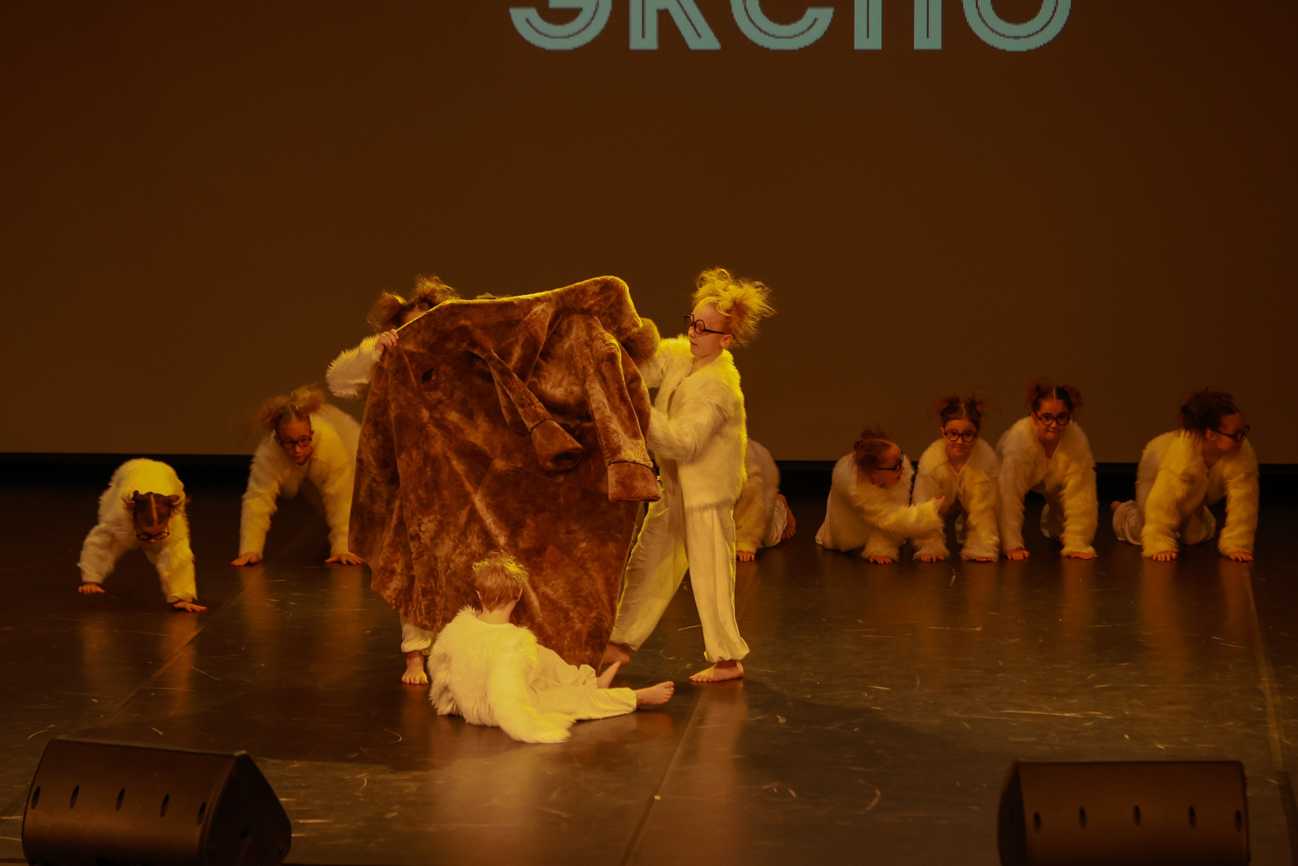 Небесные ласточки на Танц ЭКСПО 2026. Фотограф Юлия Мальцева