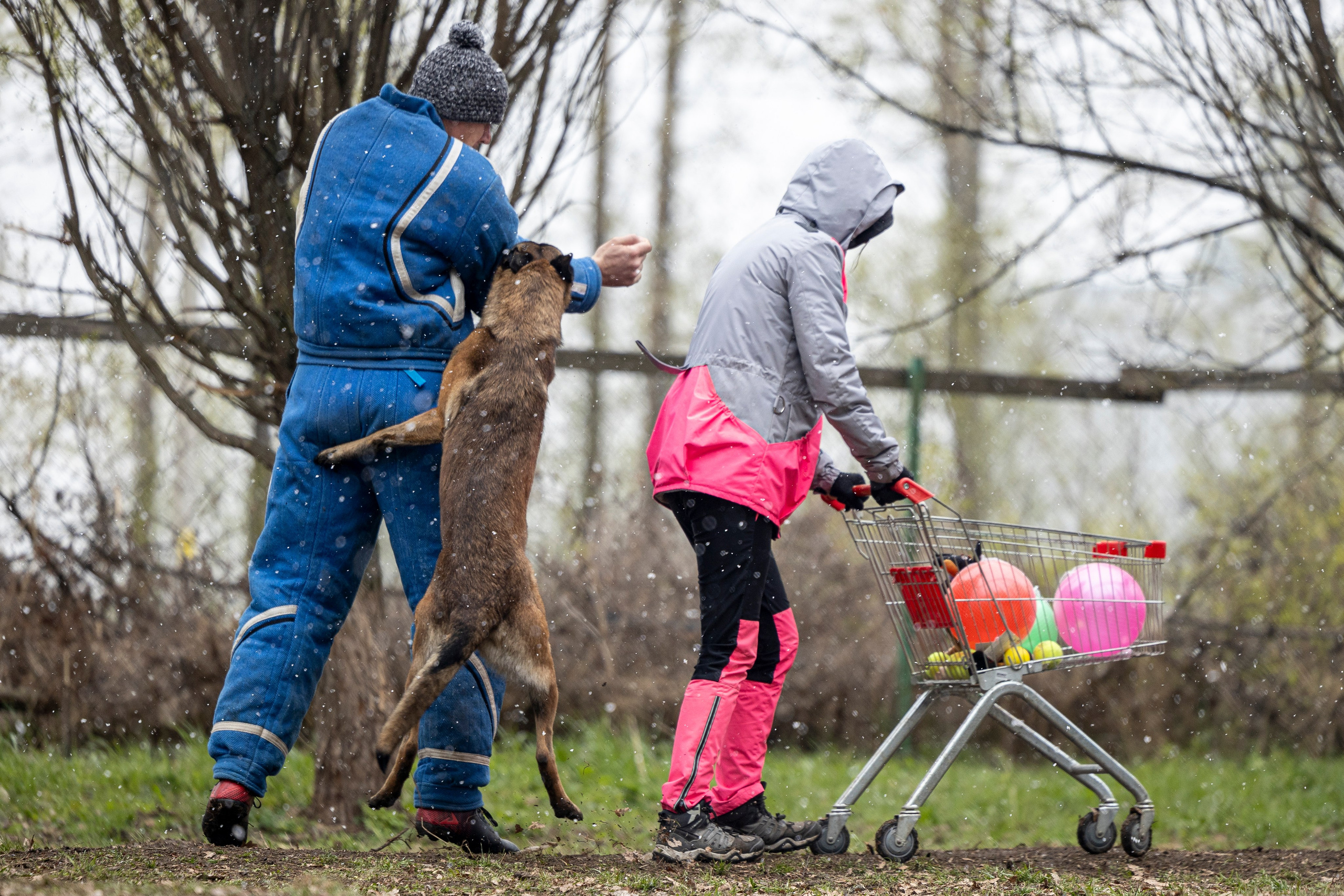 Квалификационные состязания по мондьорингу г. Вологда 11.05.24. Фотограф-анималист Анна Маринич
