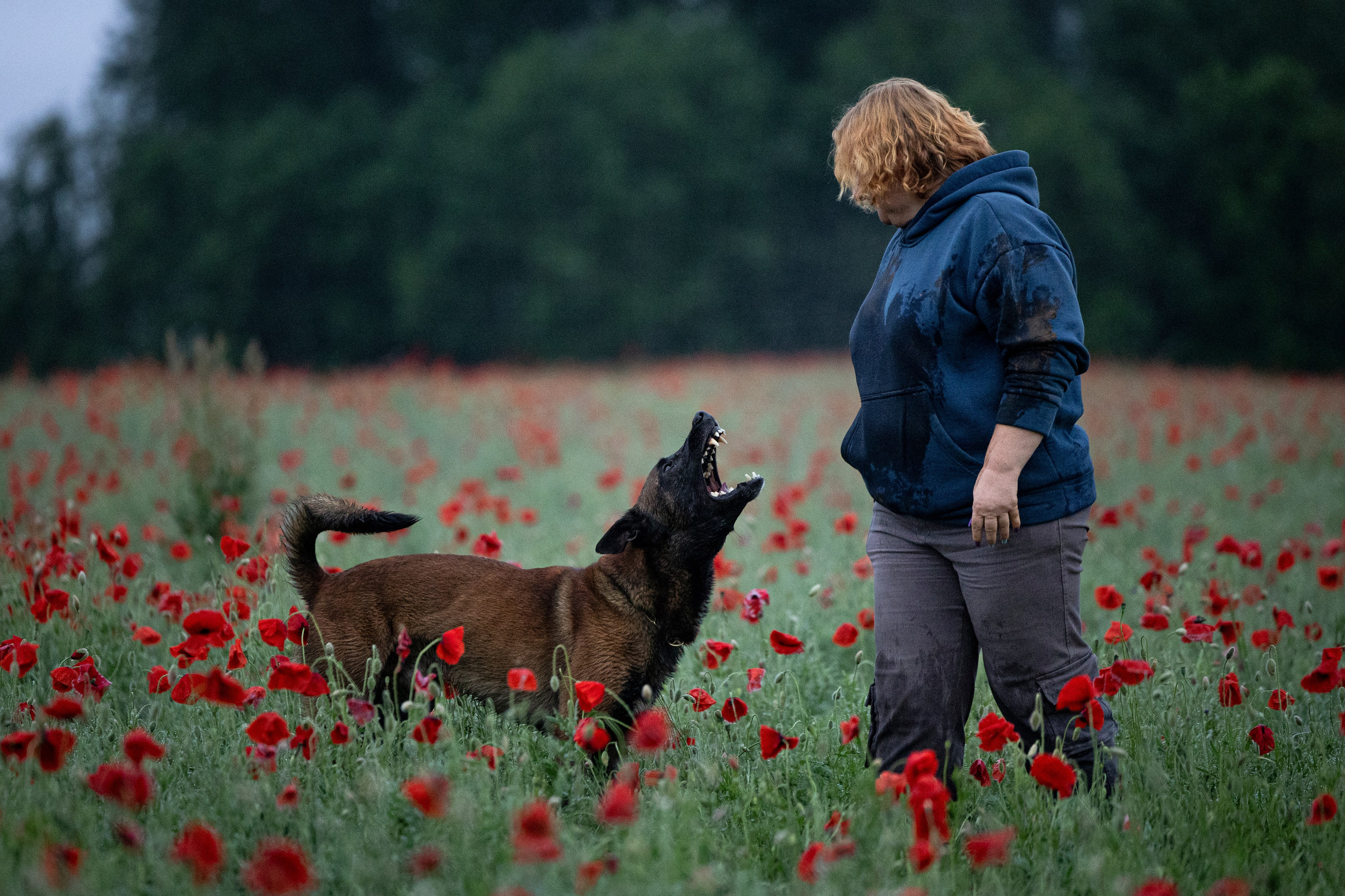 Маковое поле. Фотограф-анималист Анна Маринич