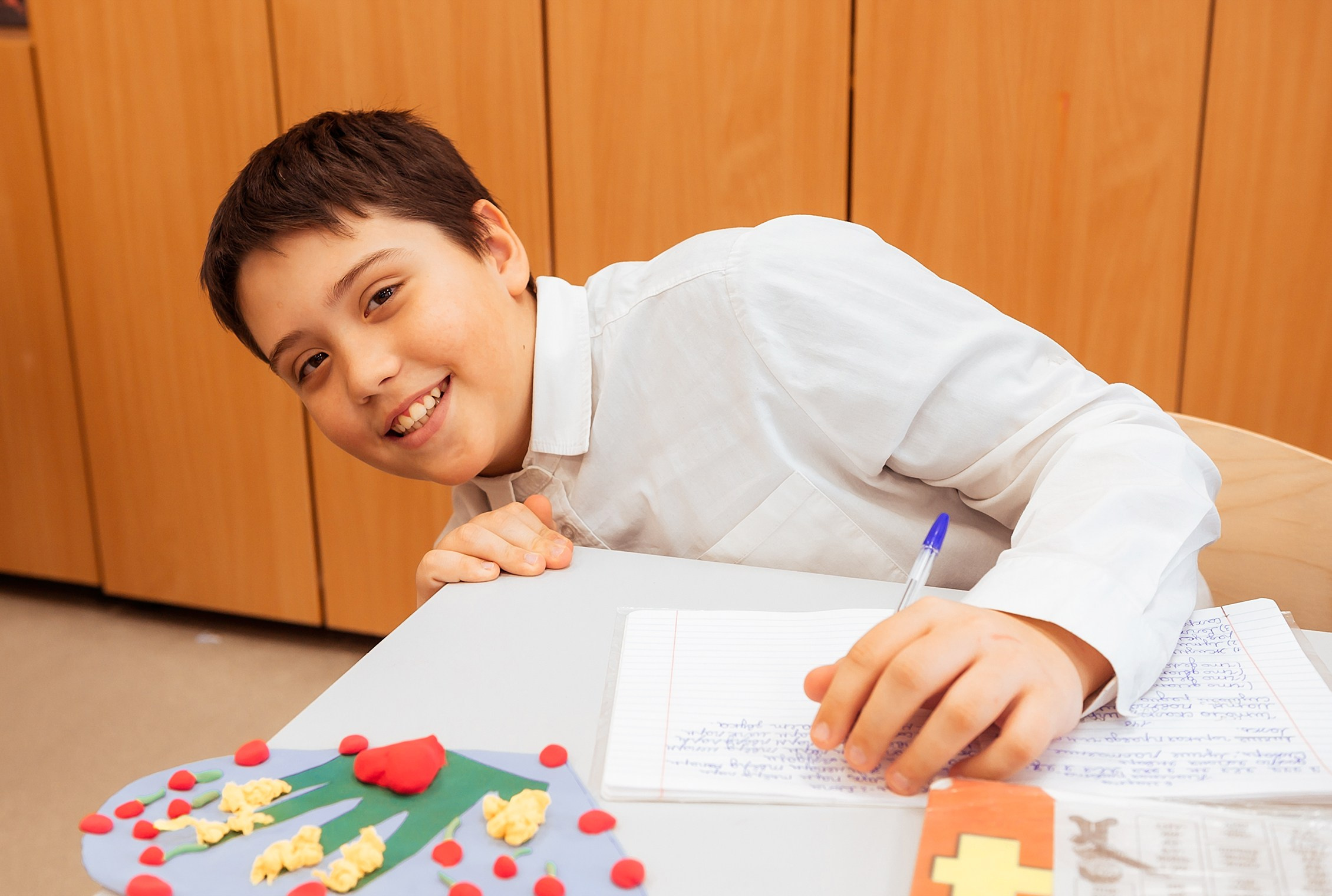 Младшая школа. Детский и школьный фотограф Оксана Стрельникова