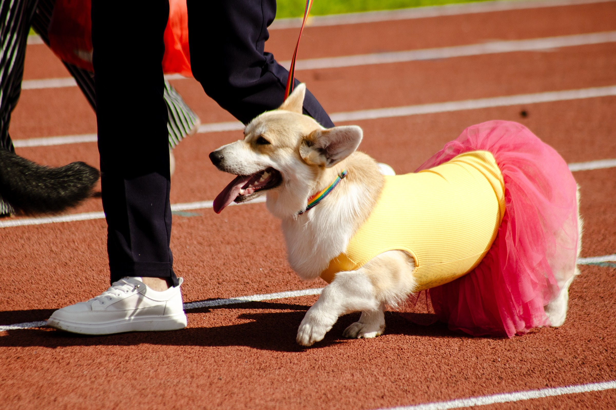 День города Усолье-Сибирское 2024. Фотограф в Иркутске Евгения Айвазова