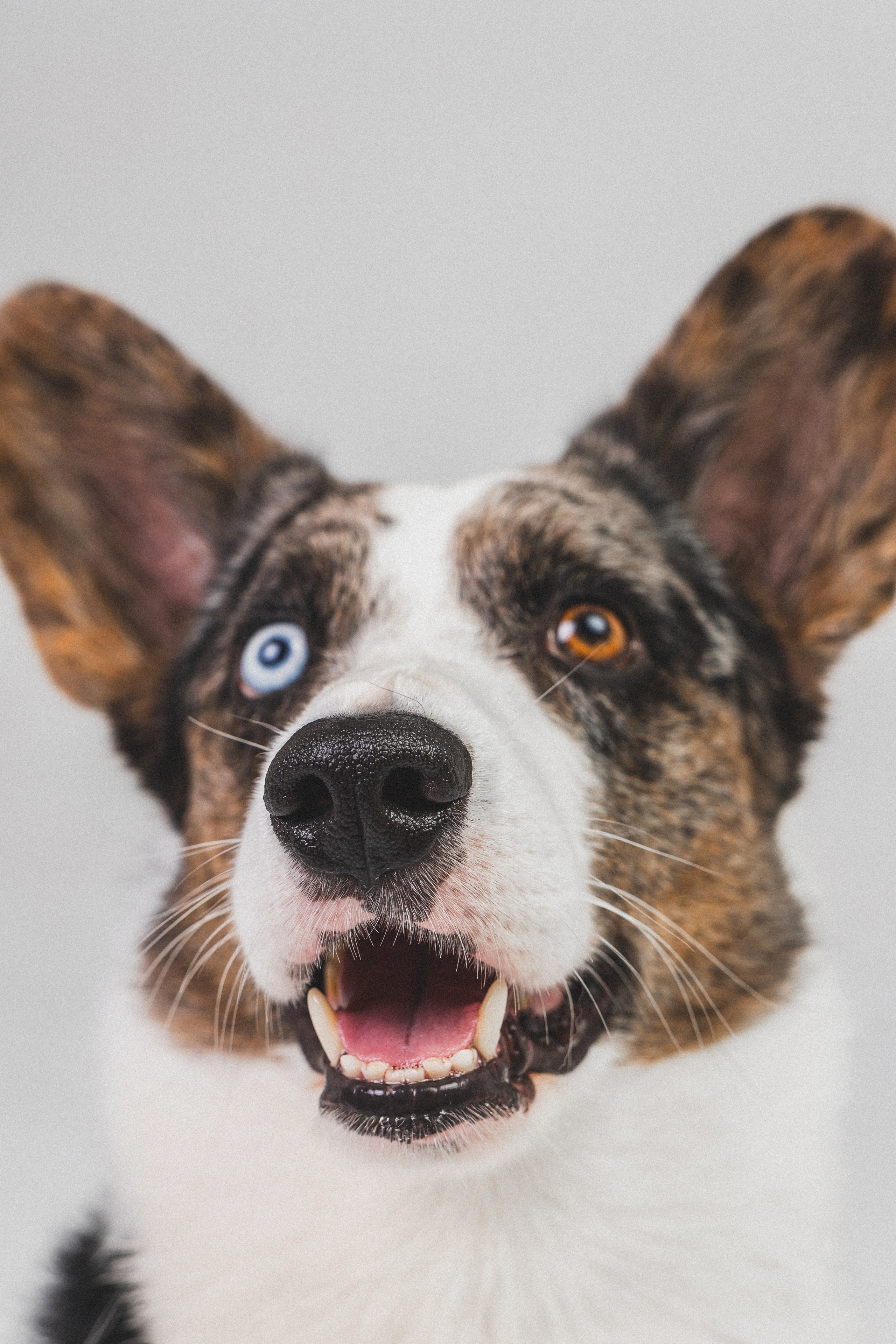 Анатолий и Рагнар