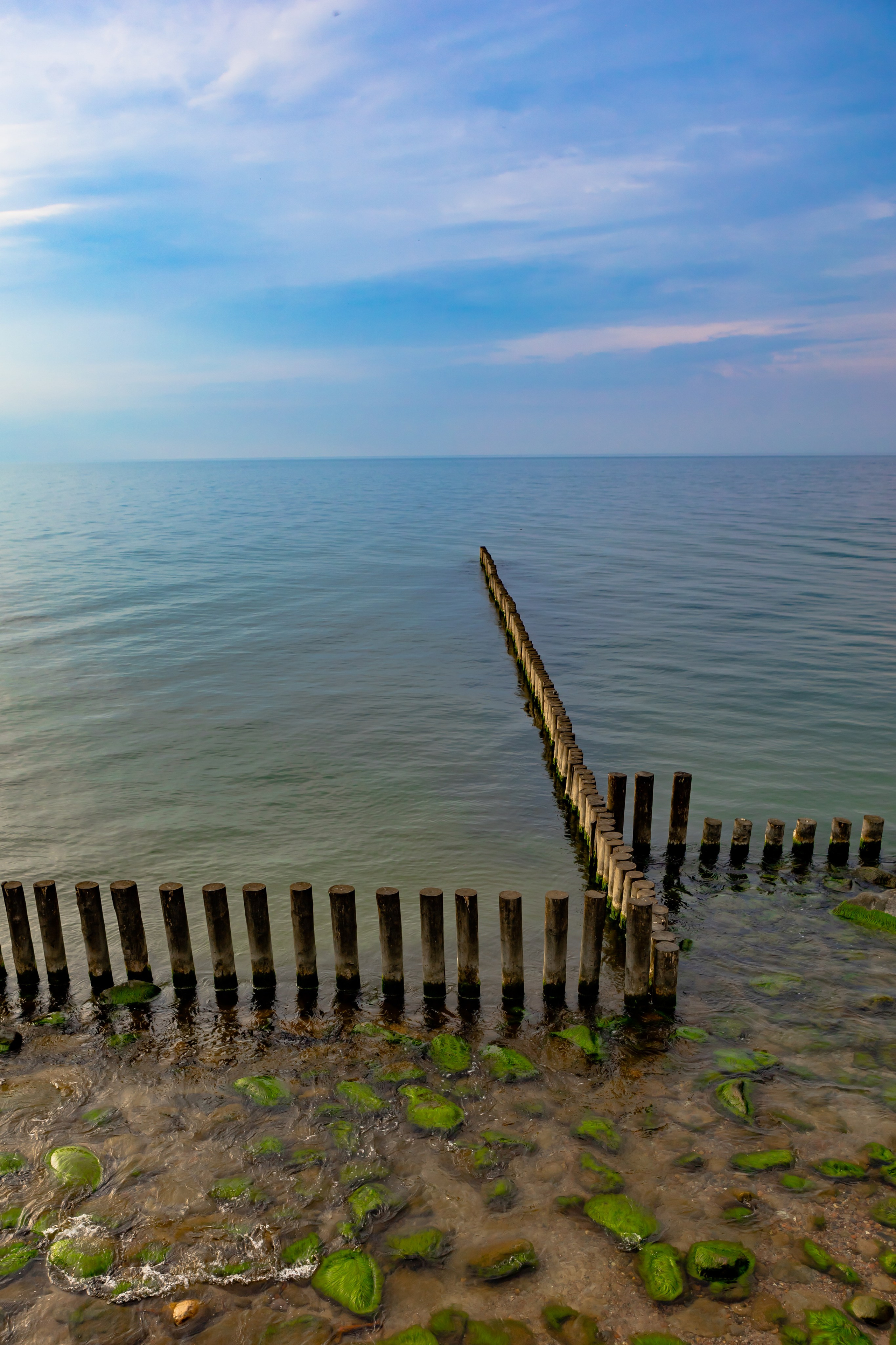 https://lori.ru/46816096 Breakwaters, moss green stones and clear water on the shores of the Baltic Sea. Svetlogorsk, Russia