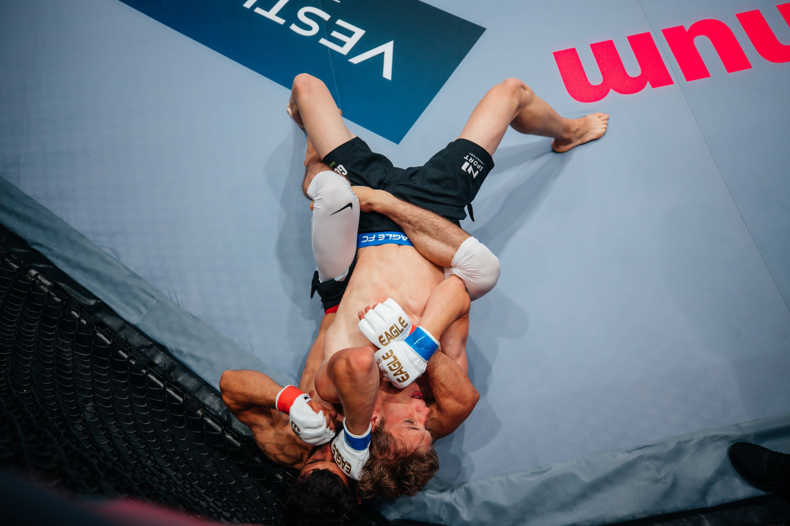 Спорт. Фотокарточки