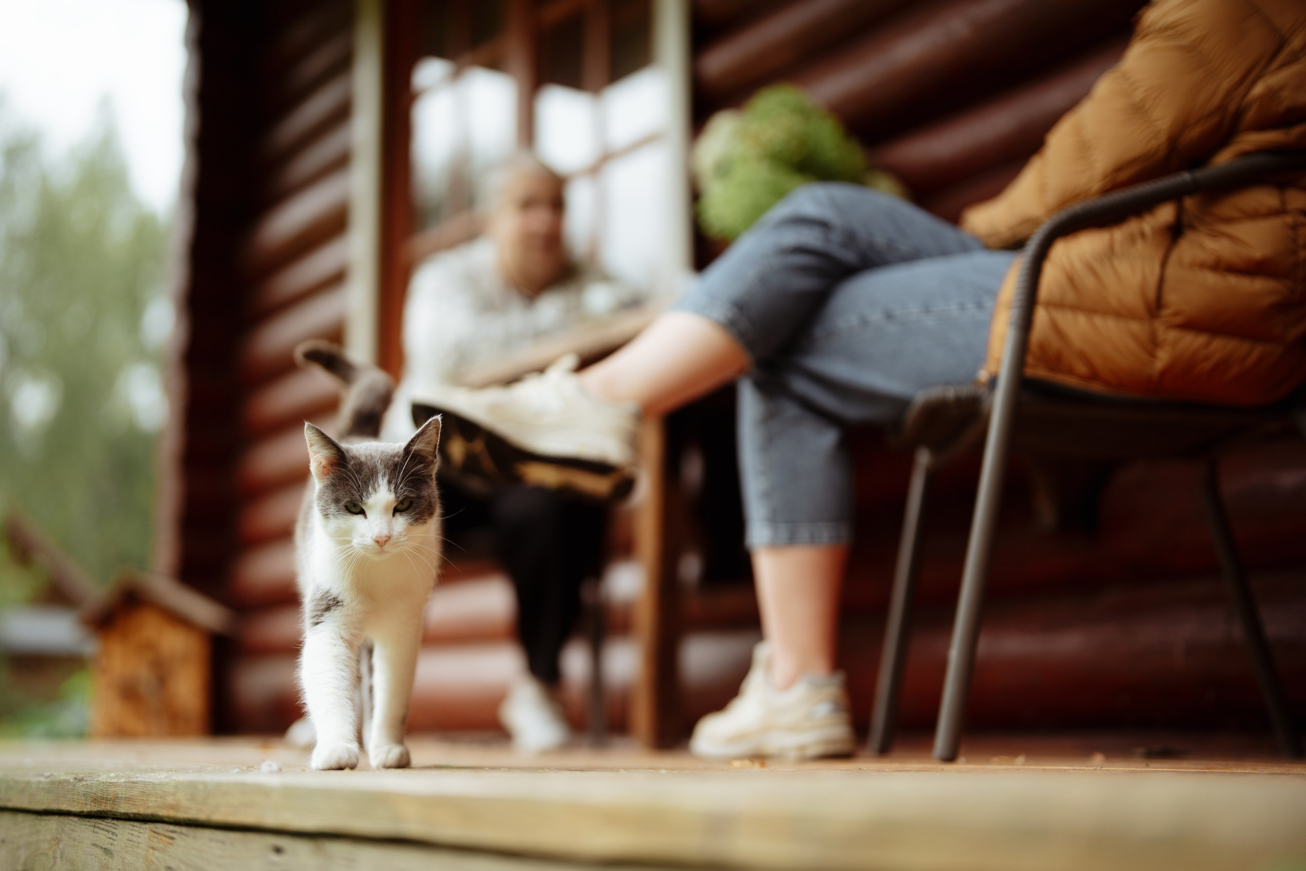 Сюжет № 11|Виктория Алексеенко