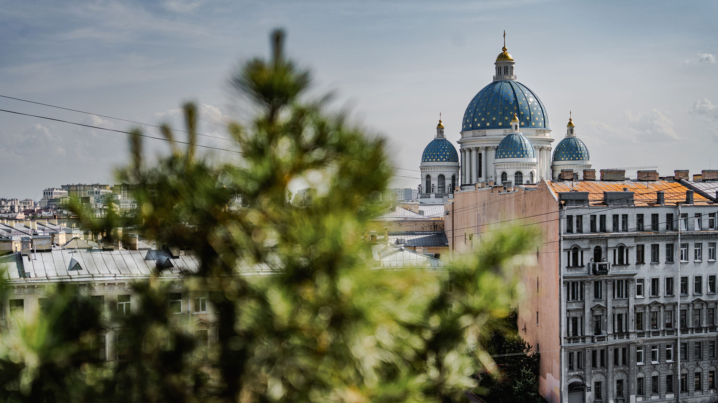 Saint Petersburg. The Andris