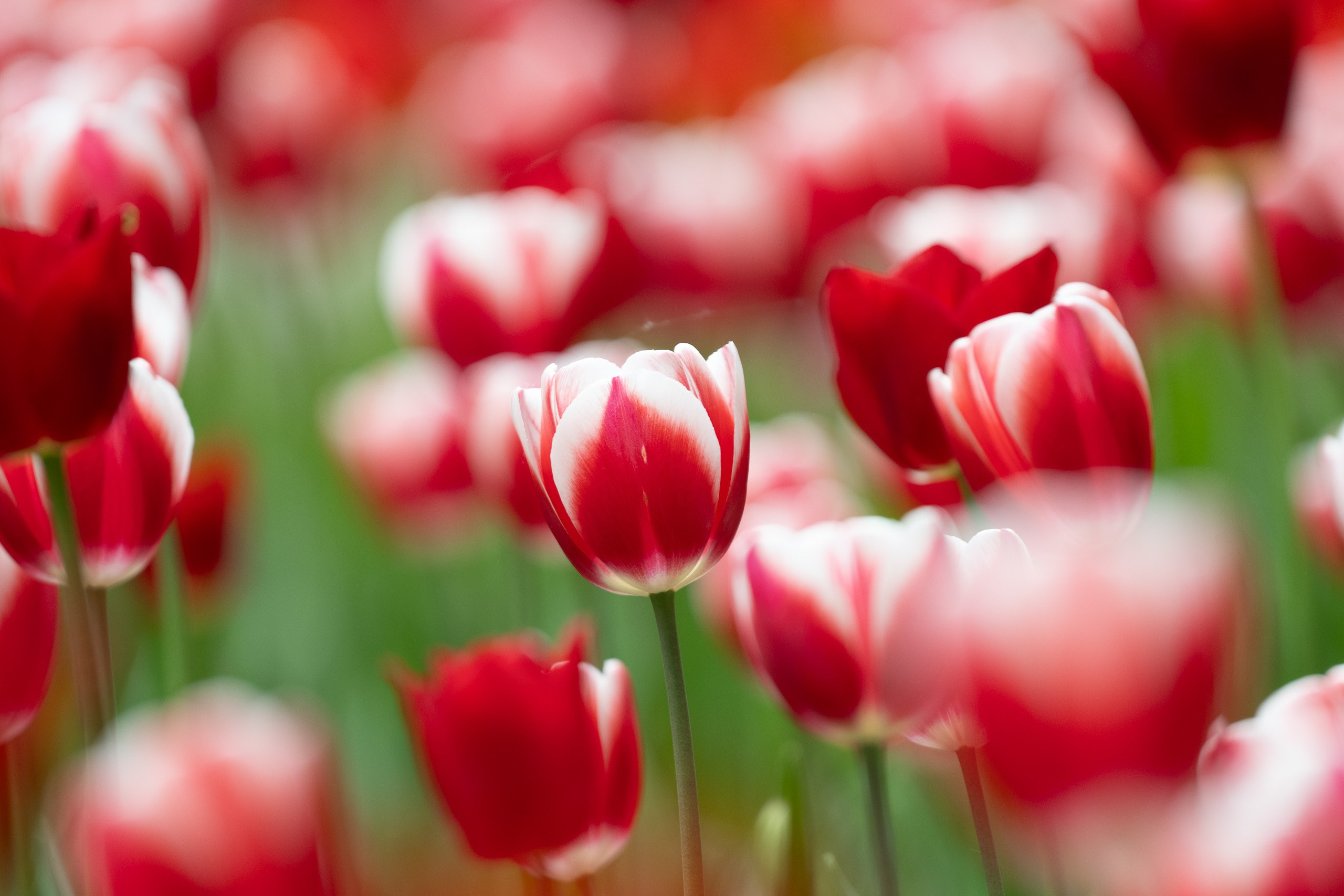 Пейзажи и урбан. Фотограф Илья Неверов