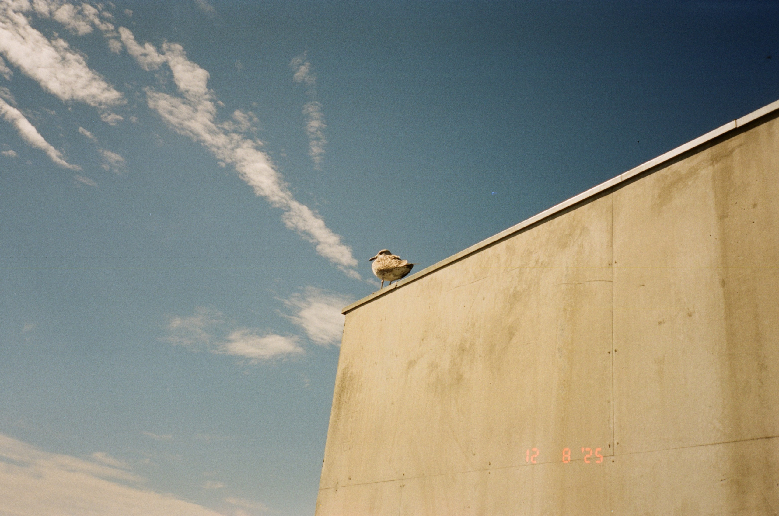 Oslo. Regina Platonova