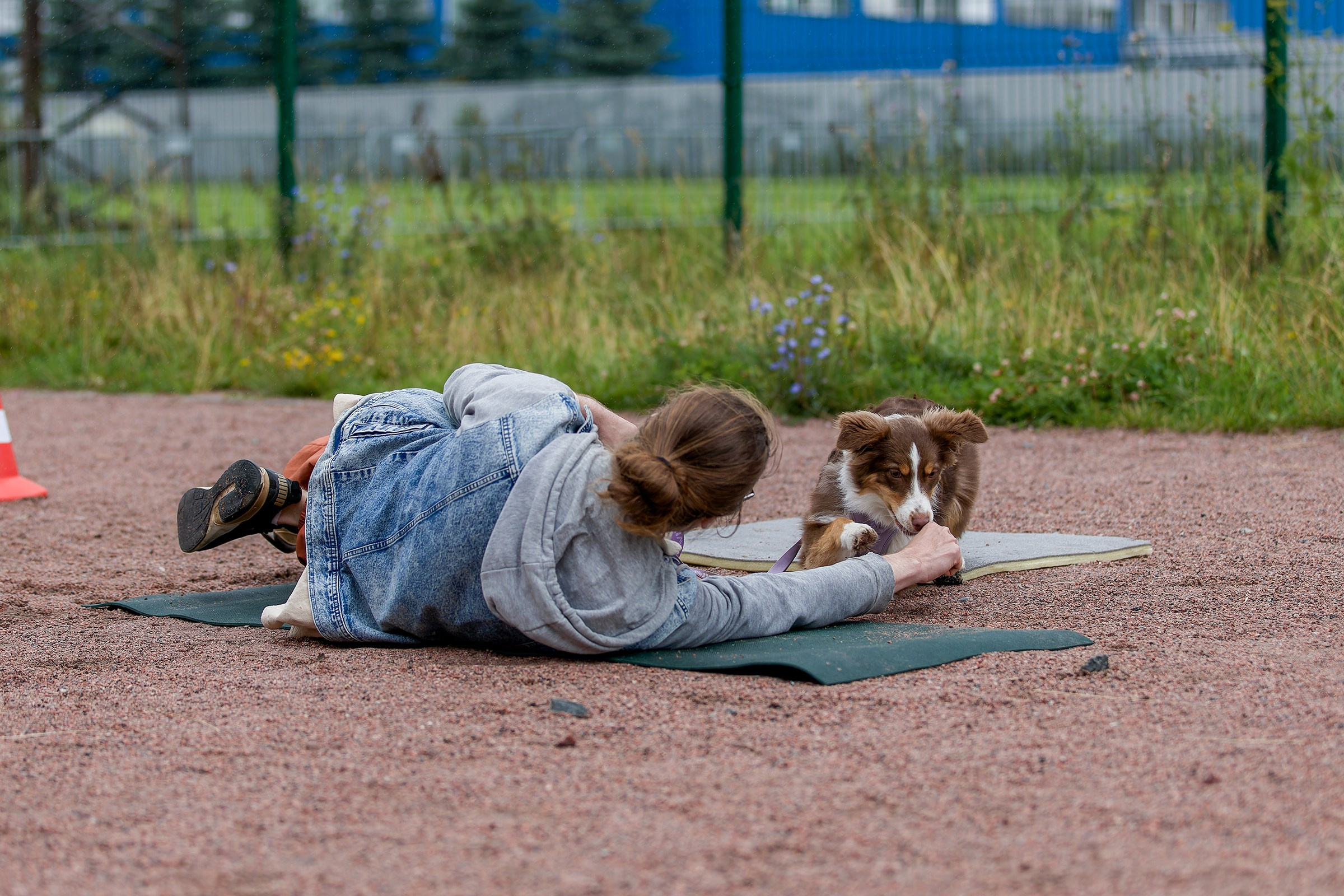 Живая Сила. Семейный фестиваль. Irenephoto.ru
