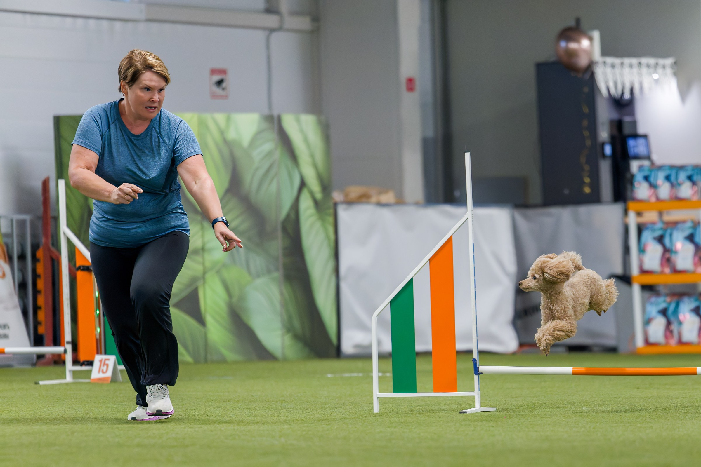 День рождения Пёсбурга — февраль 2025. Irenephoto.ru