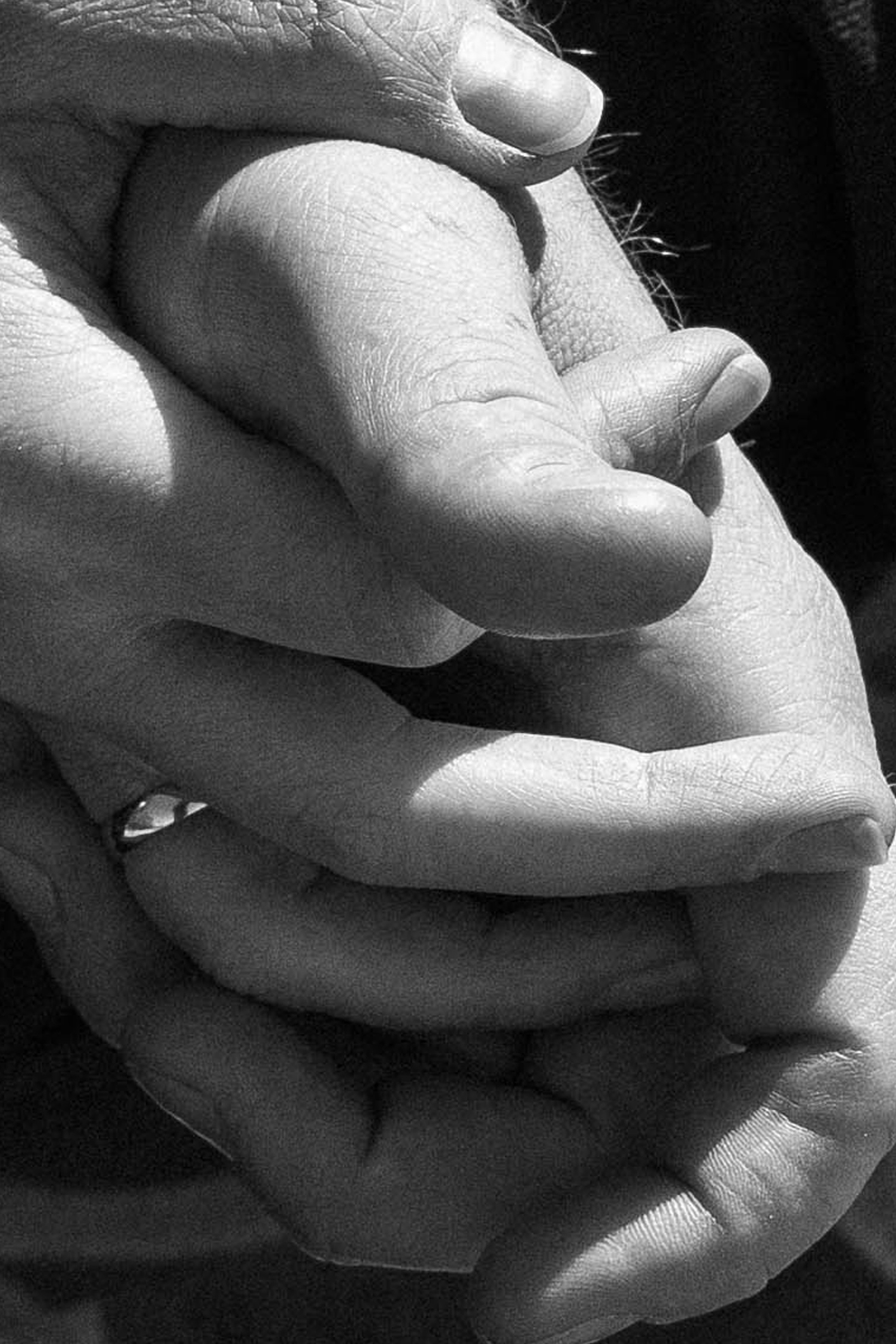 Мария & Евгений. Свадебный и портретный фотограф Соломко Диана