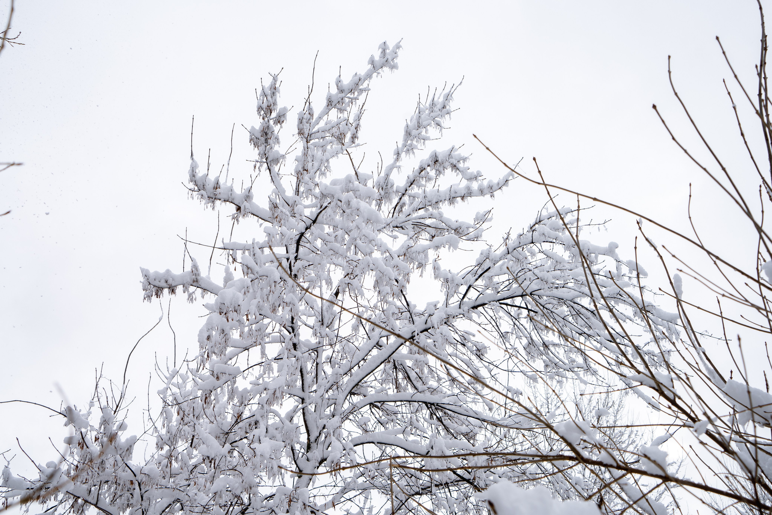 Зима 2024. Свадебный и семейный фотограф/видеограф в Краснодаре Наталья Осинская